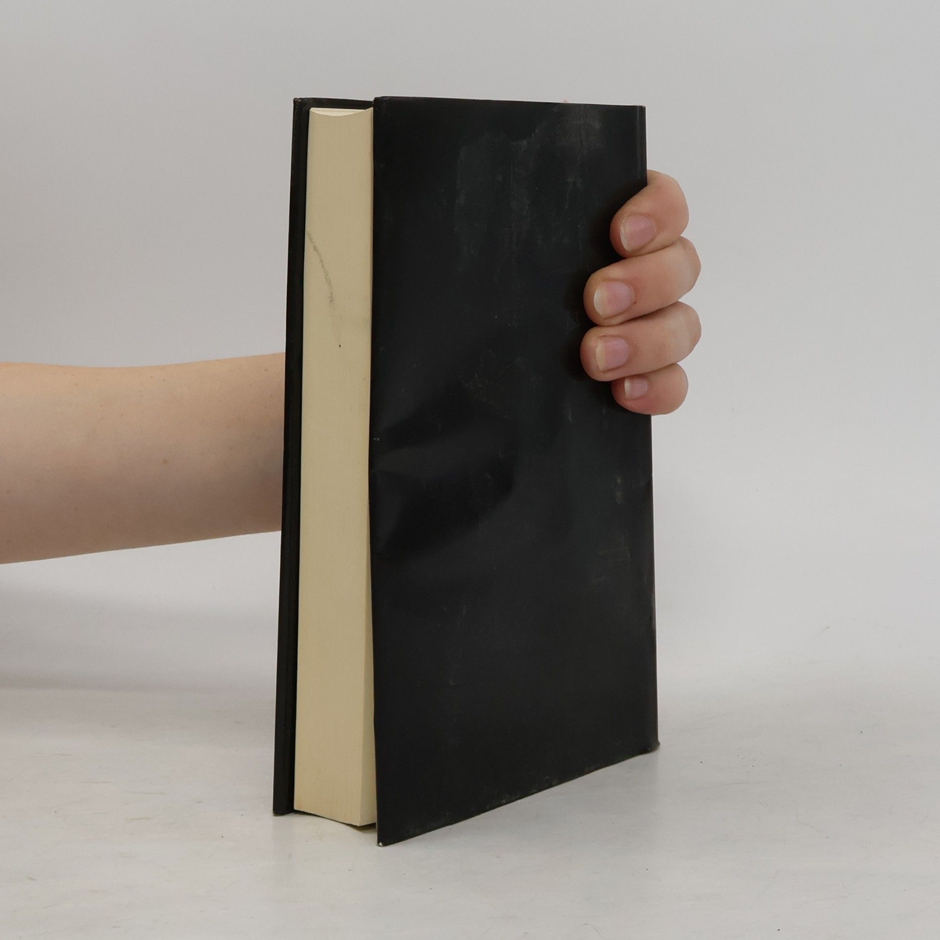 Robert Musil Der Mann ohne Eigenschaften 2