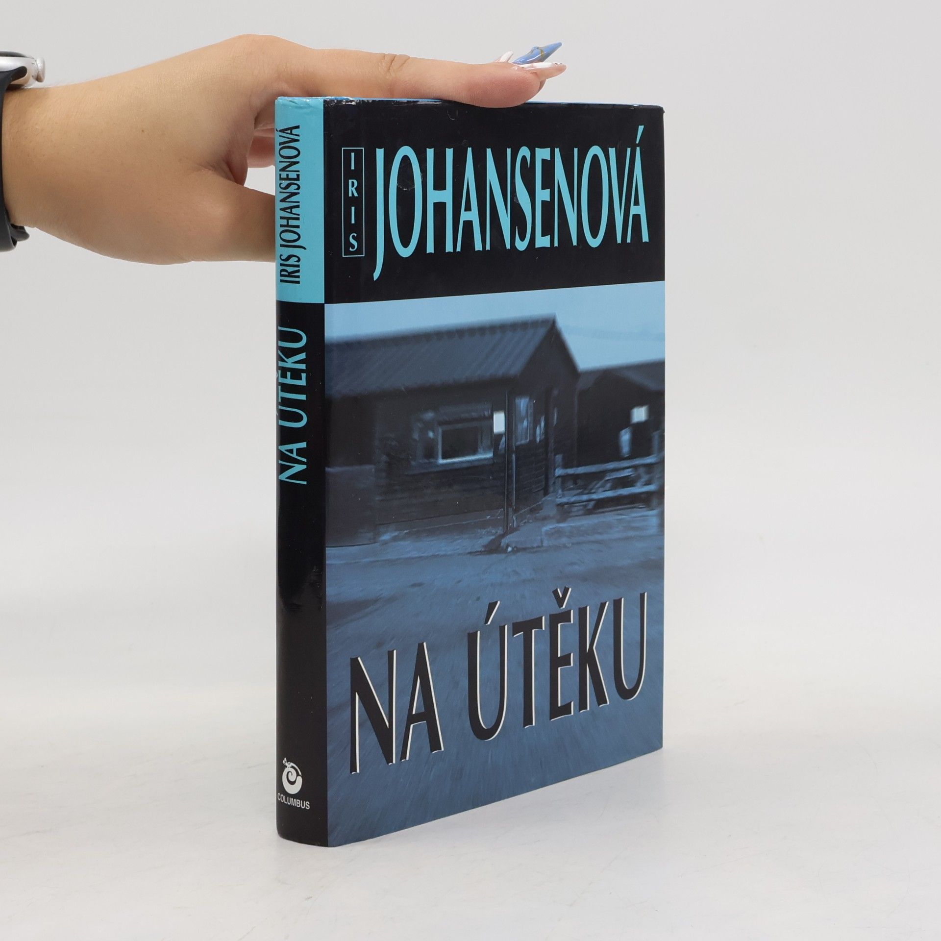 Iris Johansen Na útěku