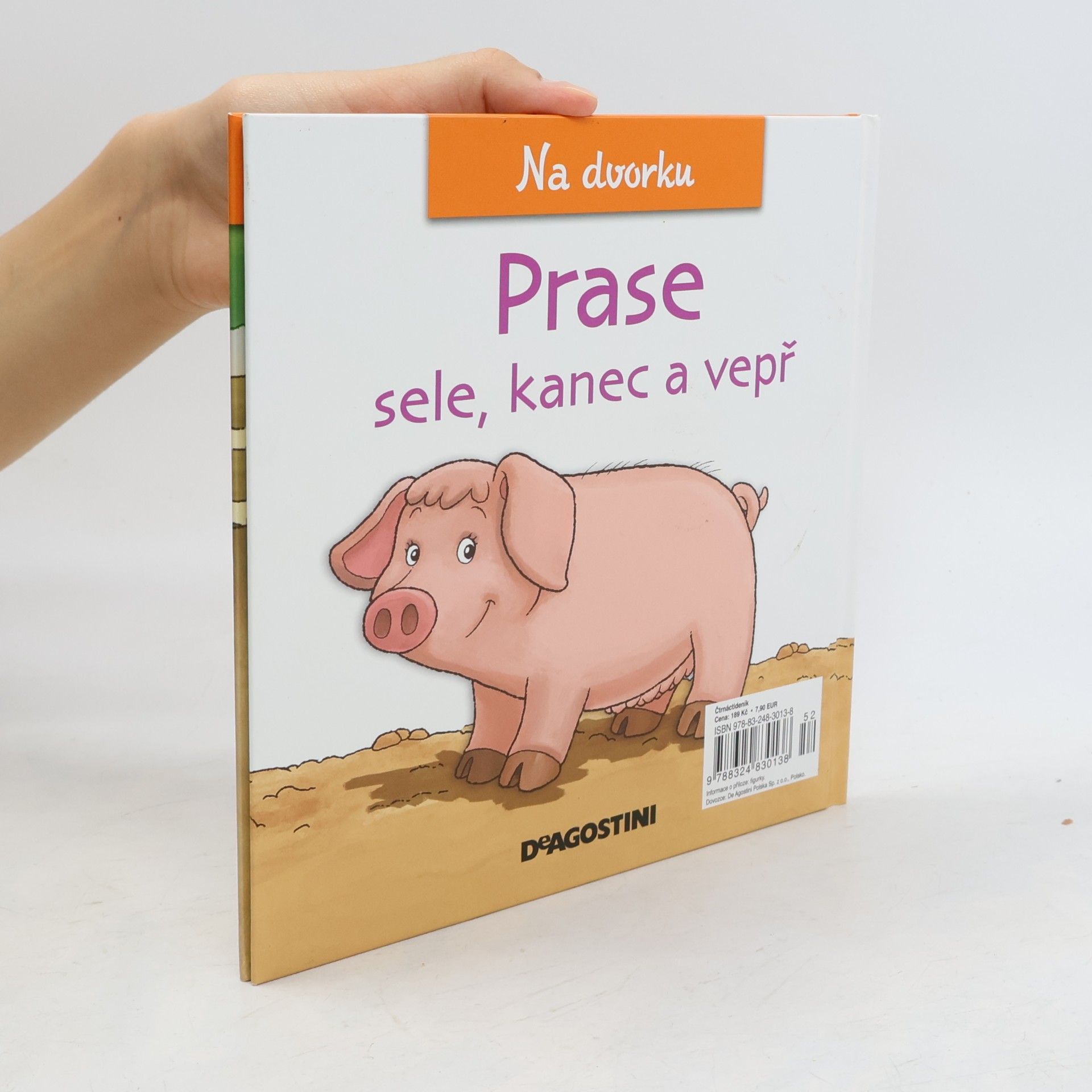 AA.VV. Na dvorku 23. Prase