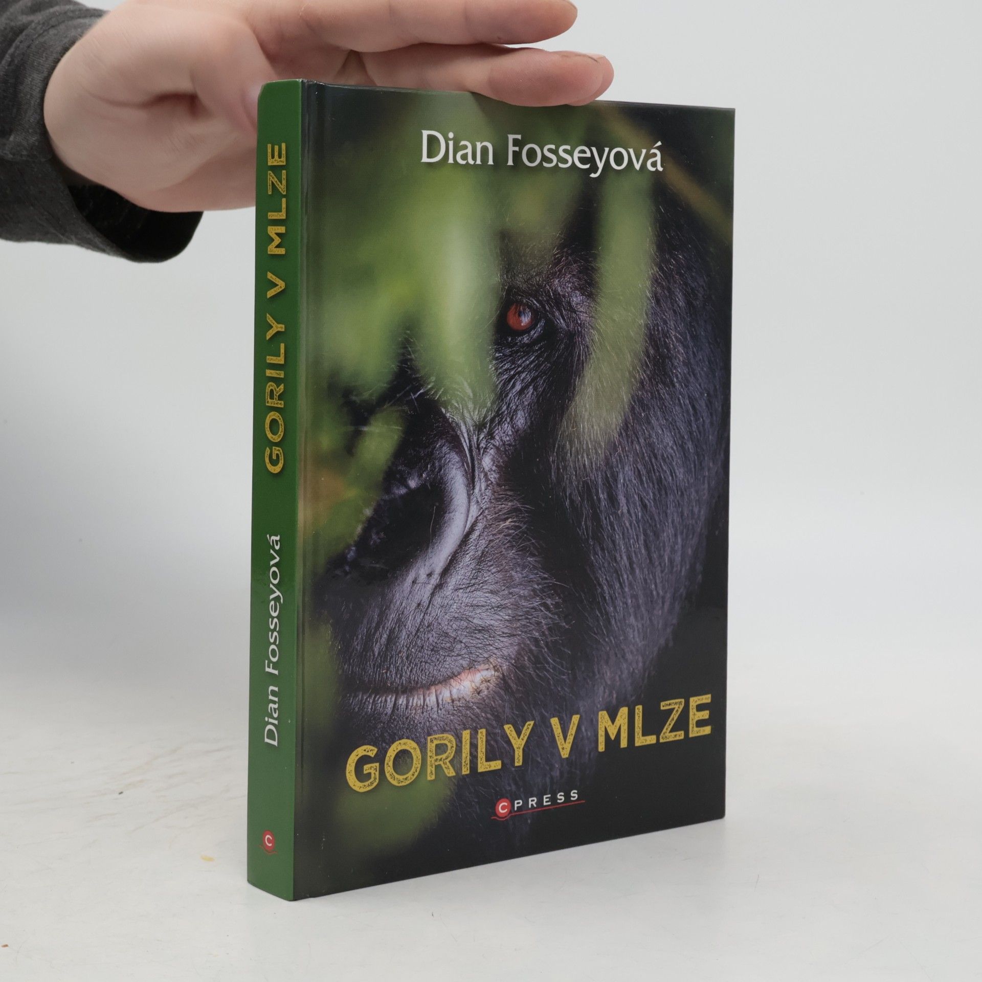 Dian Fossey Gorily v mlze