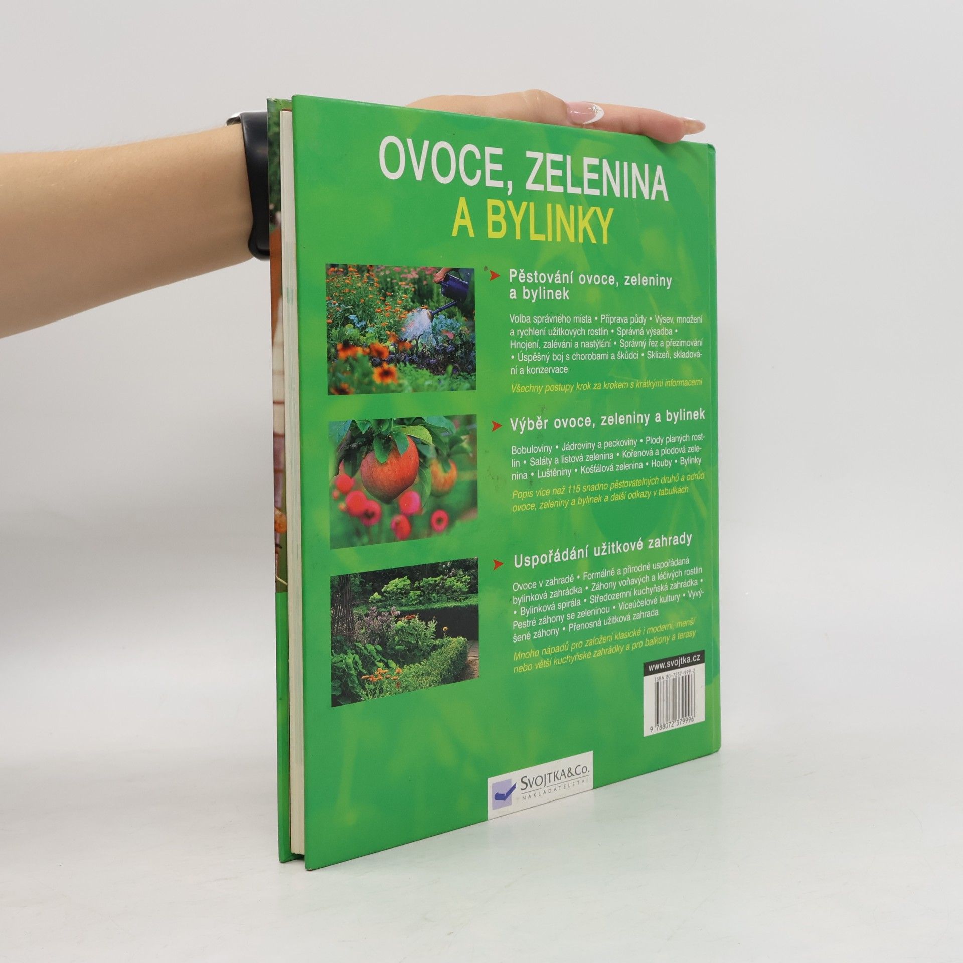 Renate Hudak Ovoce, zelenina a bylinky: Správná výsadba a péče krok za krokem, nejlahodnější druhy pro plný požitek, krásná řešení pro zahradu a balkon