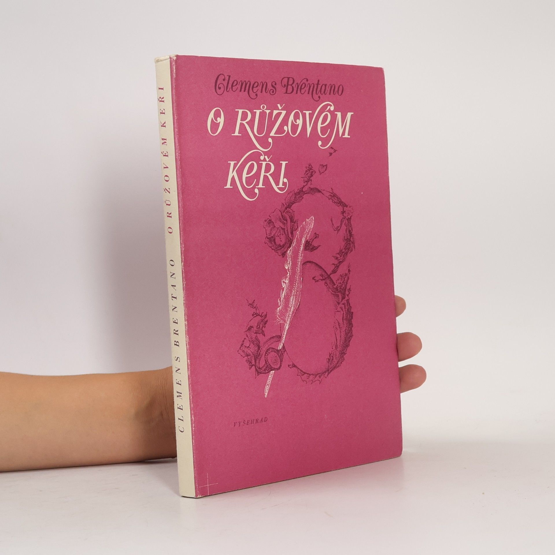 O růžovém keři