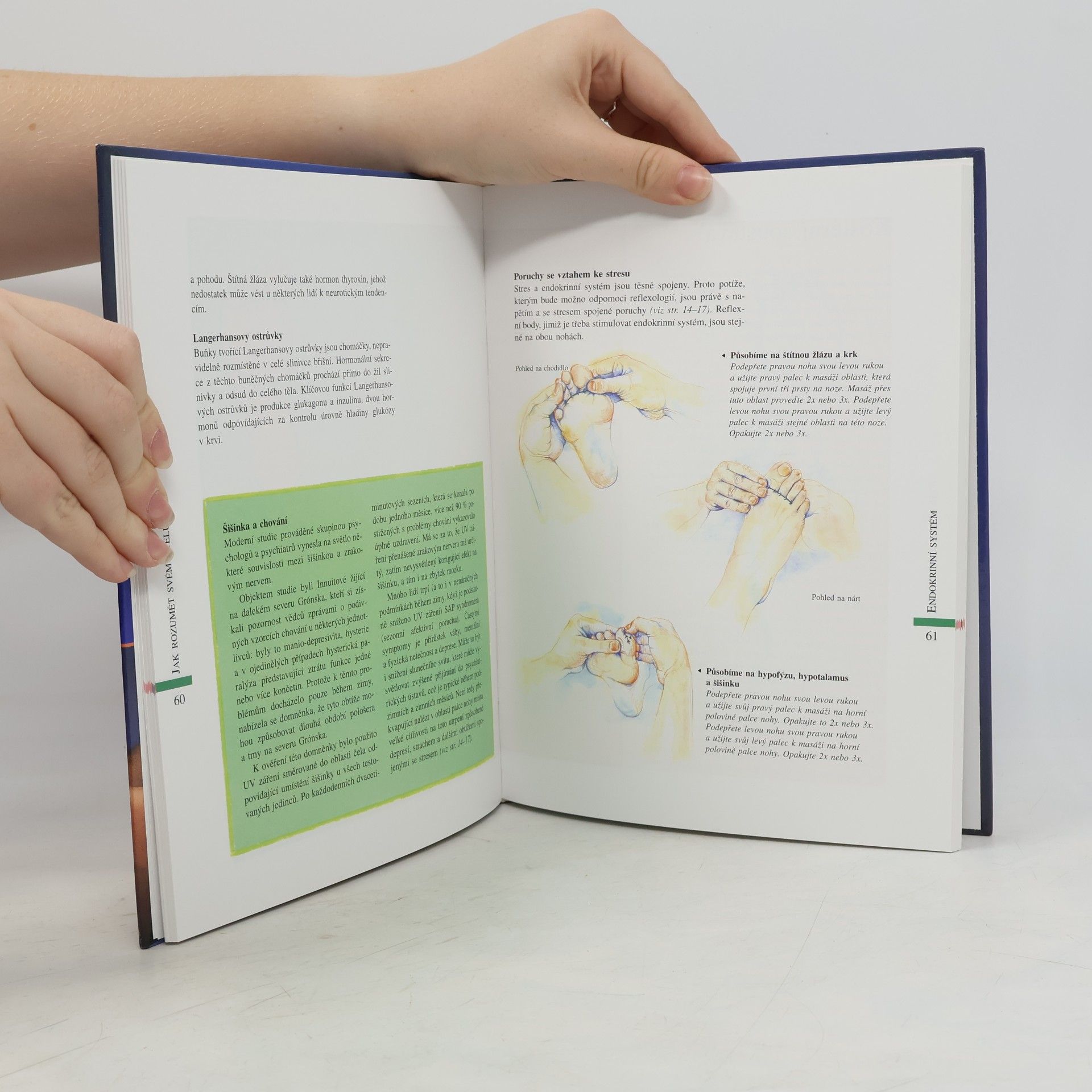 Ann Gillanders Reflexologie