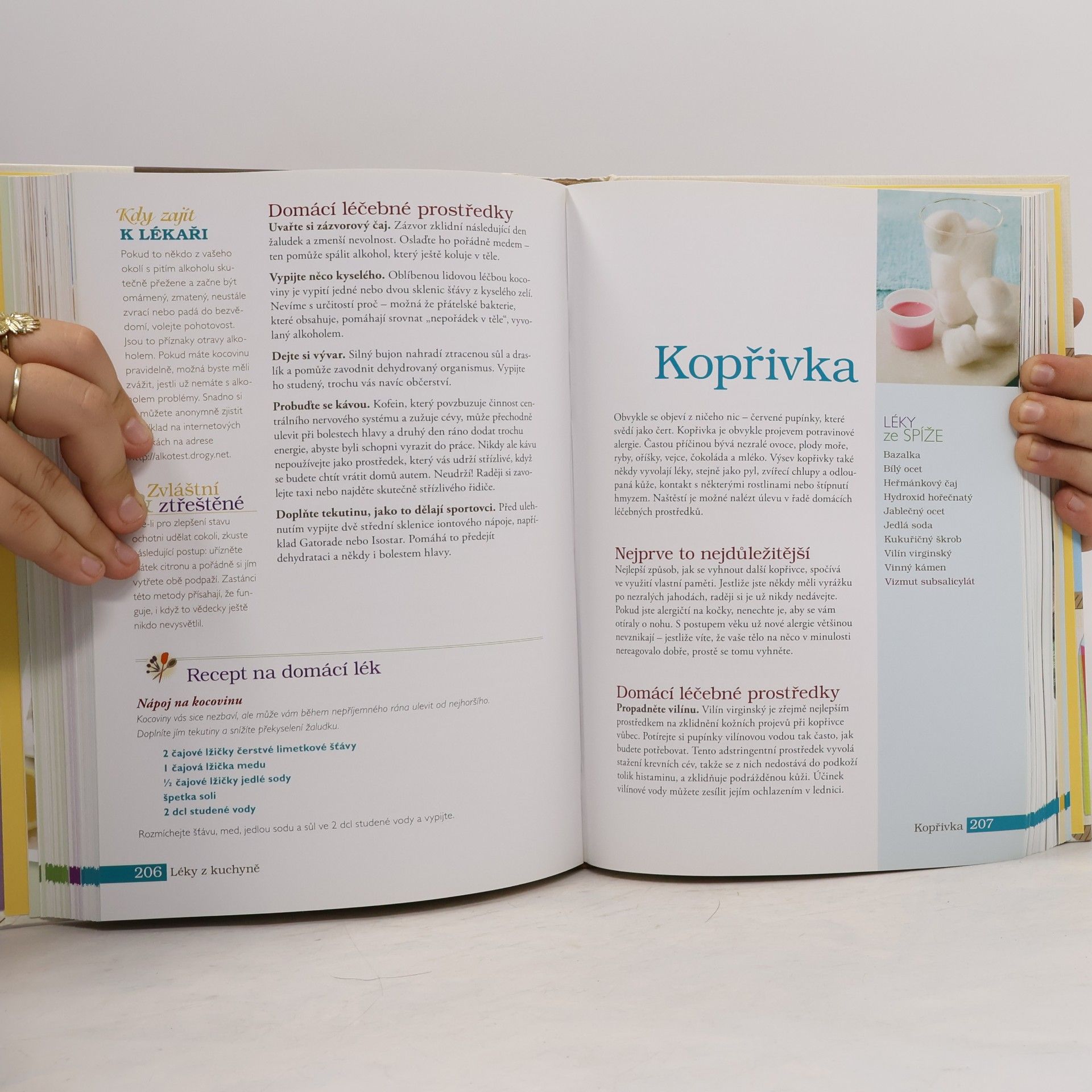 Sara Altshul Léky z kuchyně : 1000 rad a nápadů pro vaše zdraví