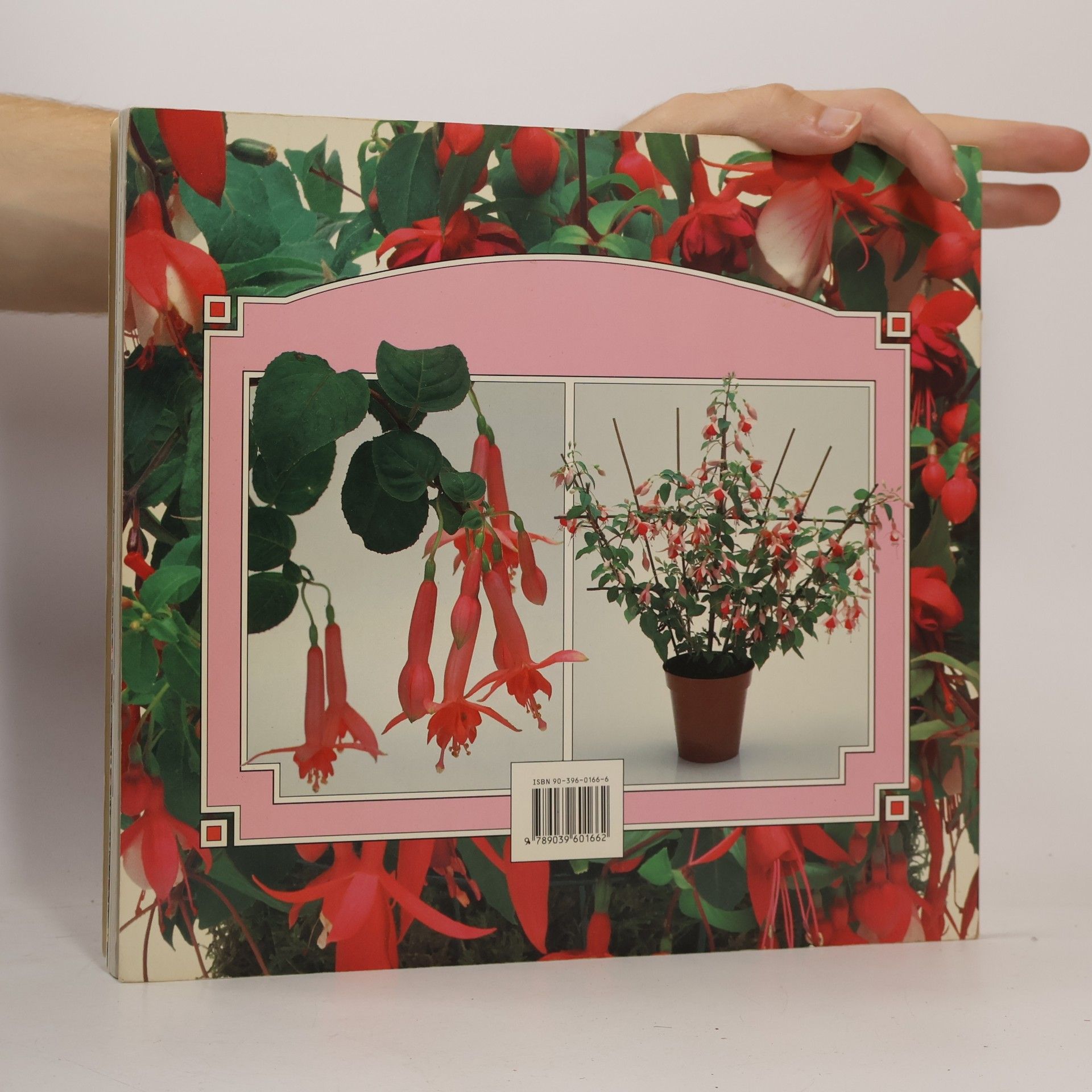 Carol Gubler Stap voor stap gids Fuchsia's