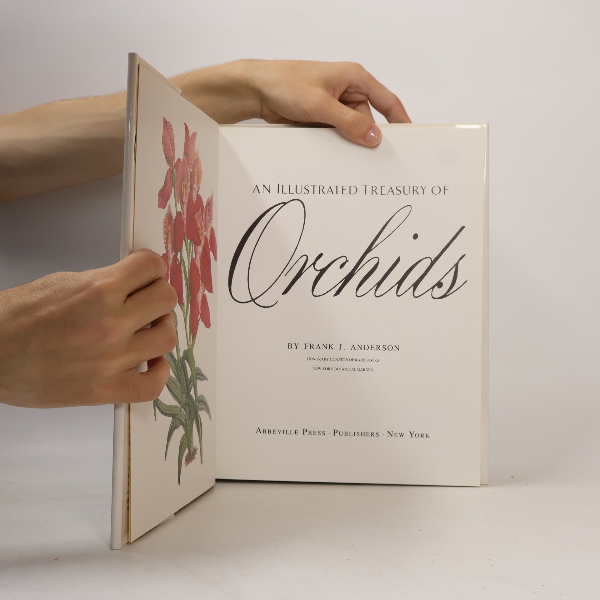 Frank J. Anderson An Illustrated Treasury of Orchids