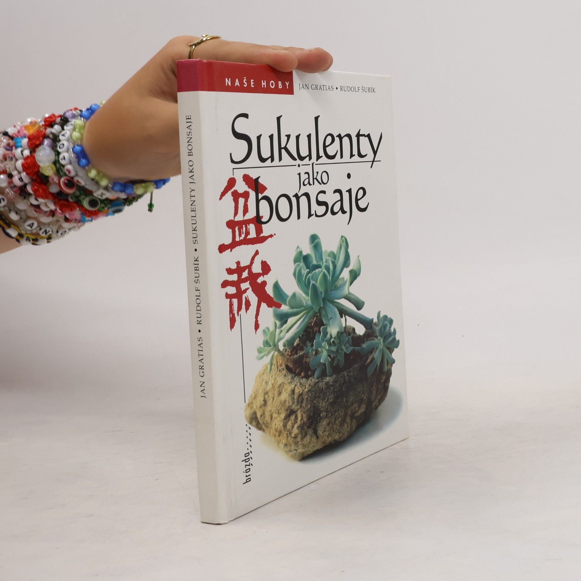Sukulenty jako bonsaje