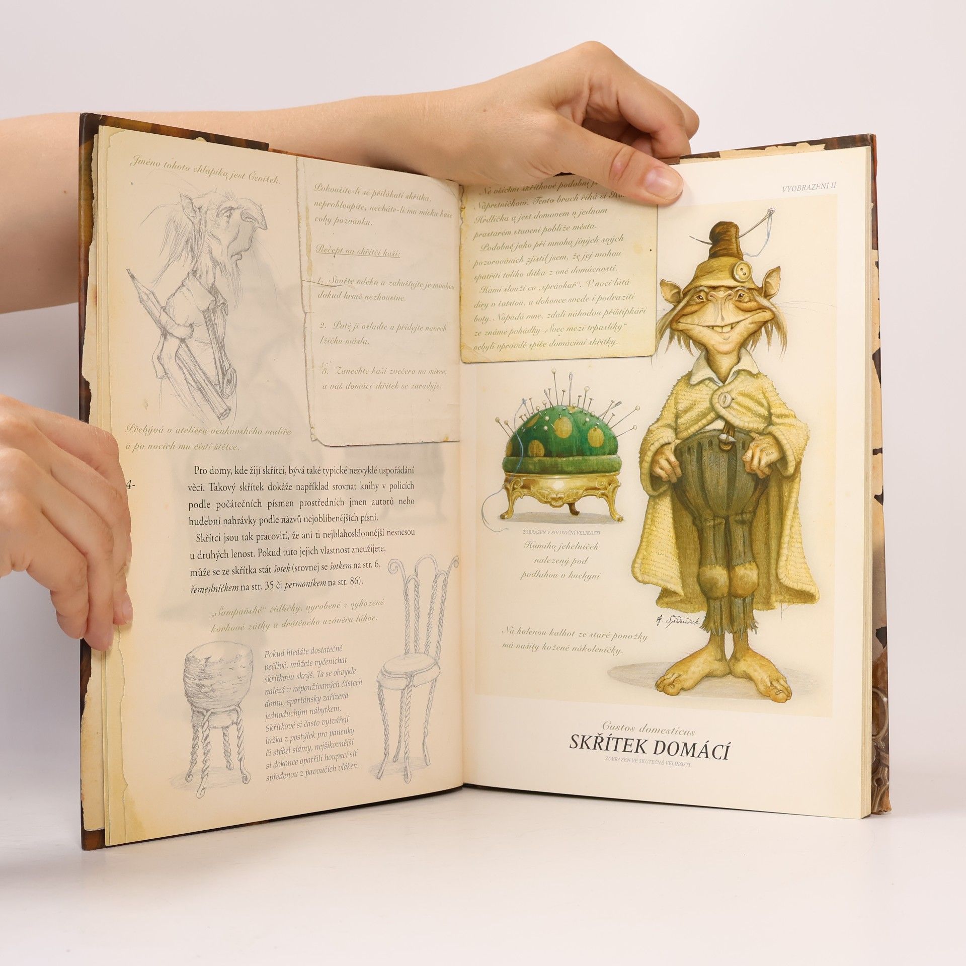 Tony DiTerlizzi Arthur Spiderwick: klíč k určování kouzelných tvorů ve světě kolem nás