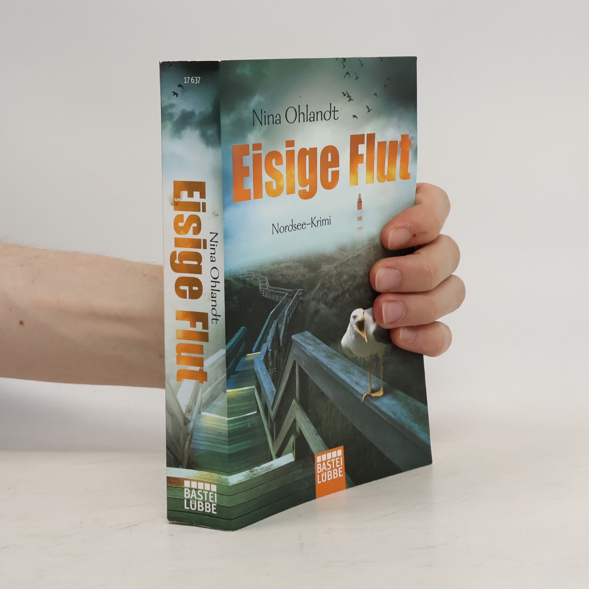 Eisige Flut