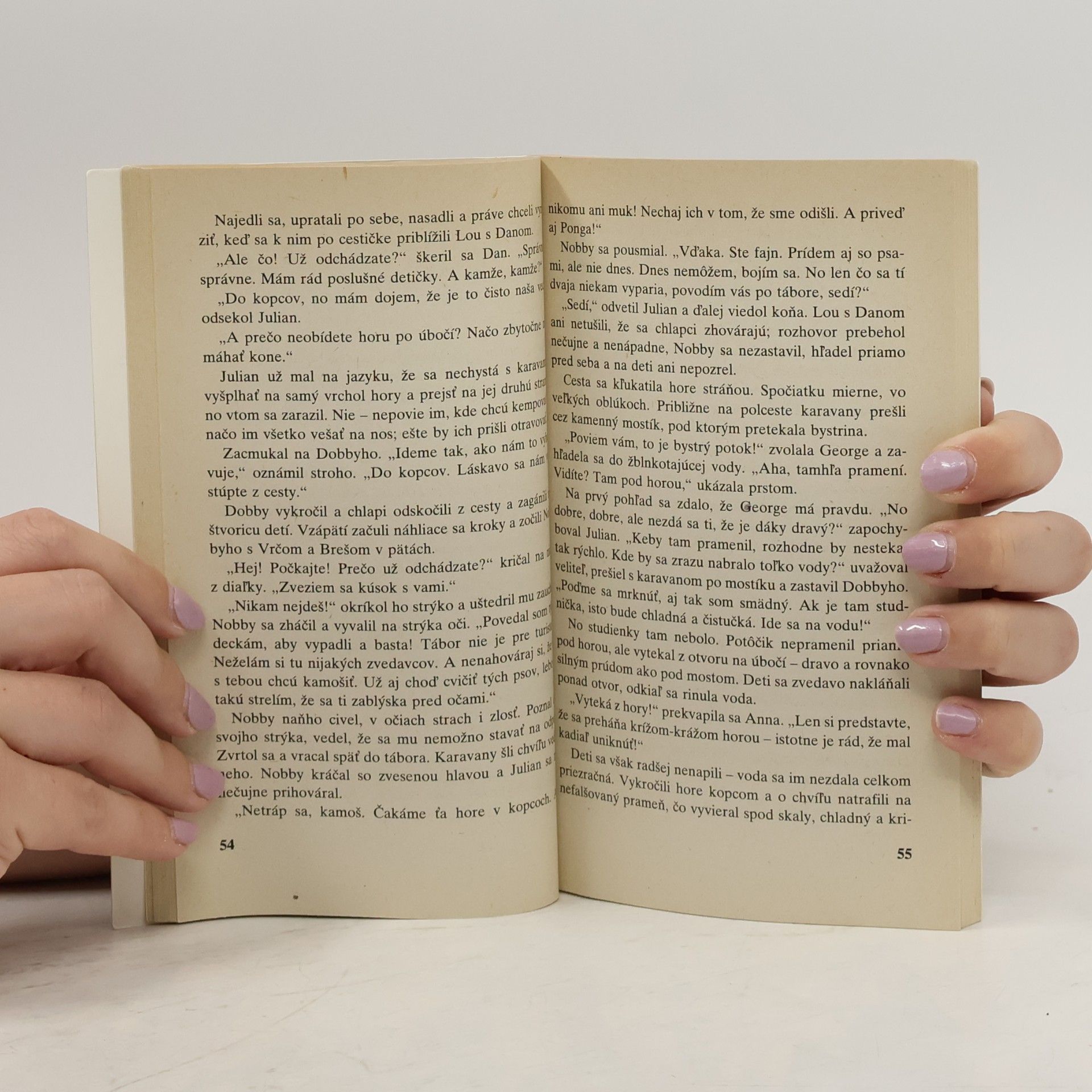 Enid Blyton Slávna päťka: Päťka v karavane