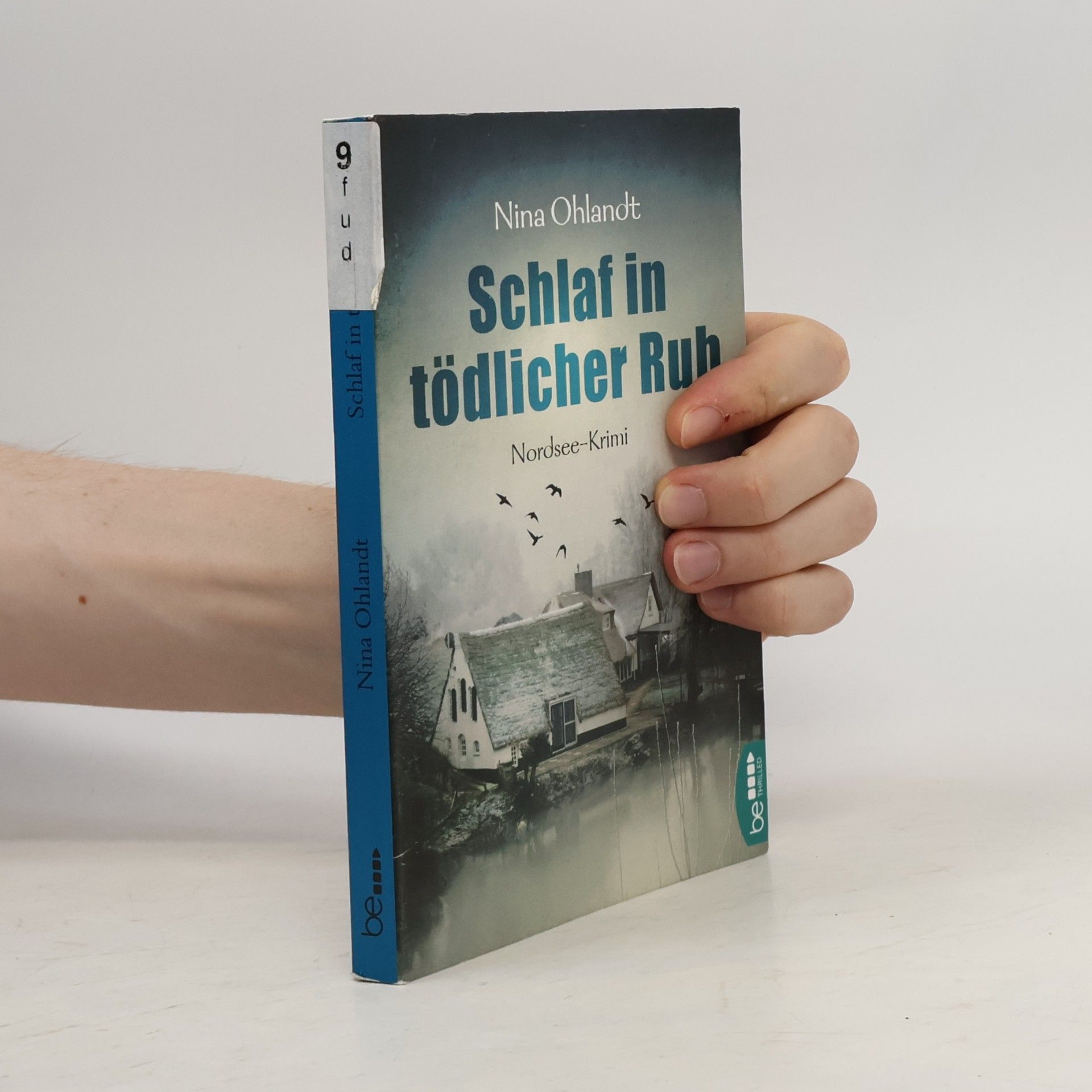 Nina Ohlandt Schlaf in tödlicher Ruh