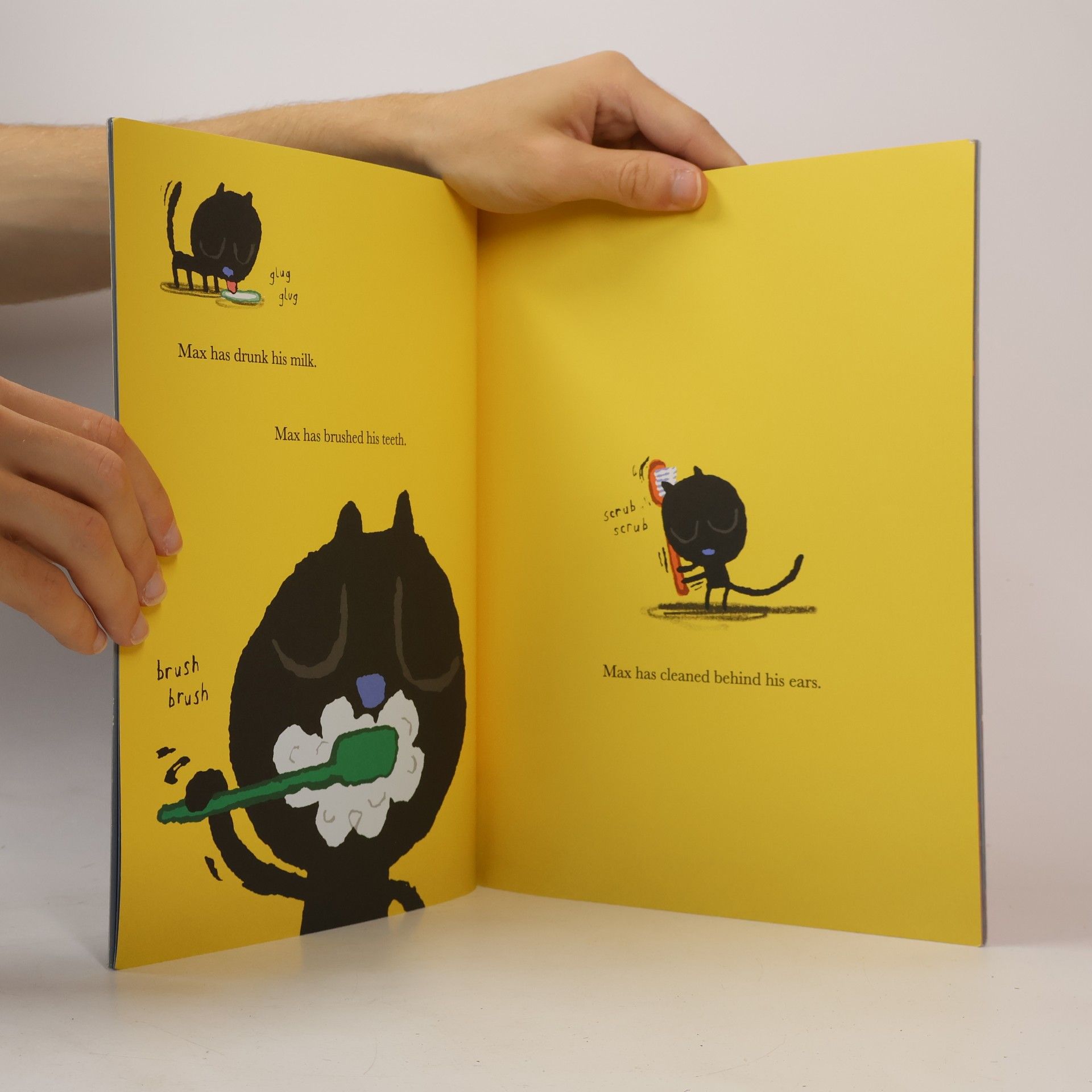Ed Vere Max at Night