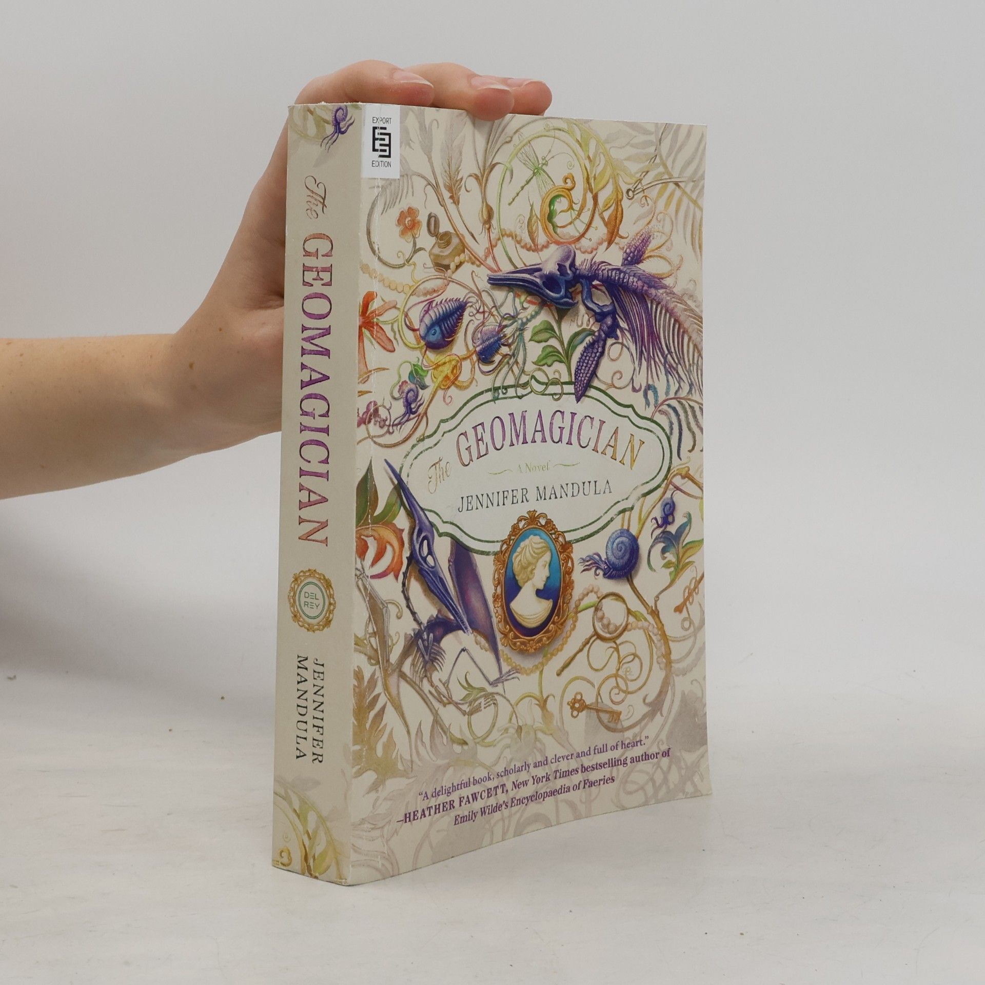 Jennifer Mandula The Geomagician: A Novel - Export Edition