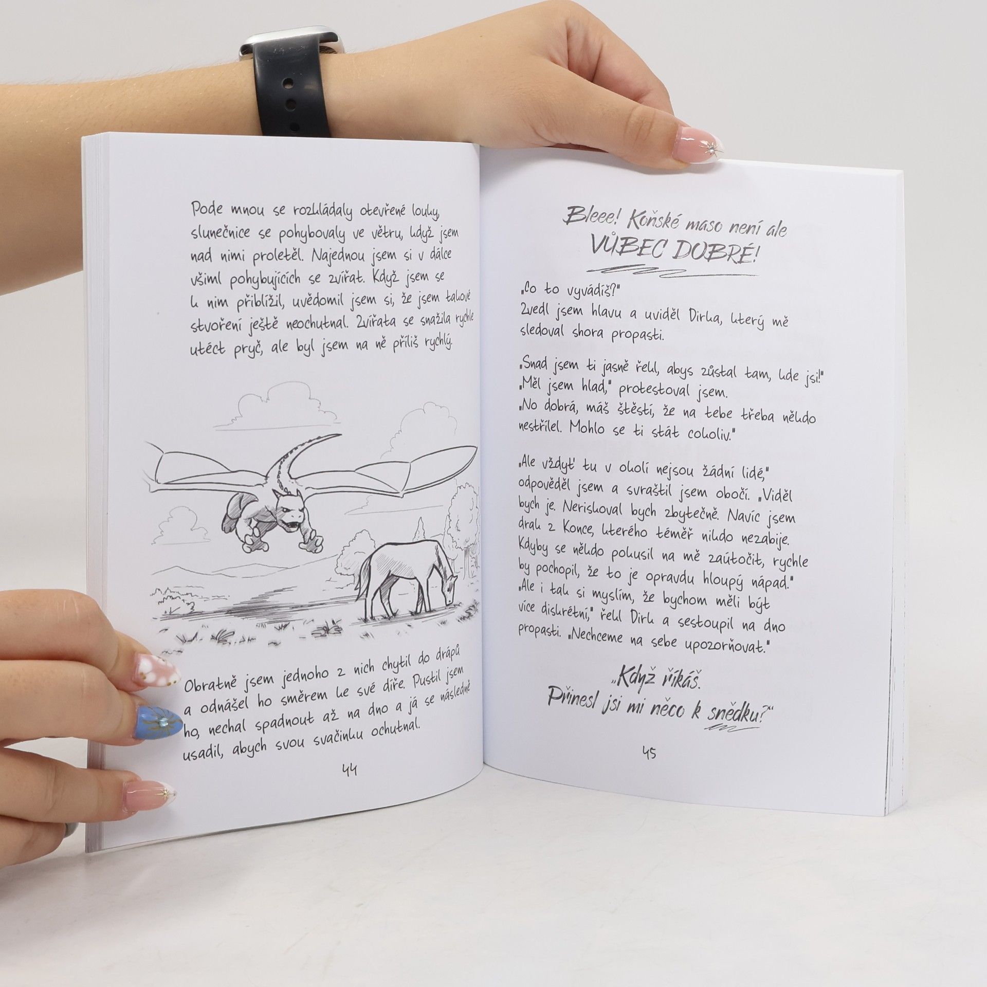Books Kid Já, drak z Konce