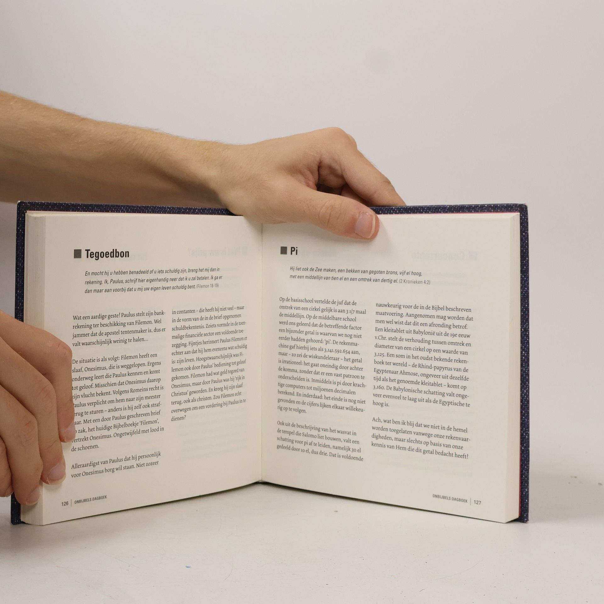 Rudi Albert Hakvoort Onbijbels dagboek / druk 2