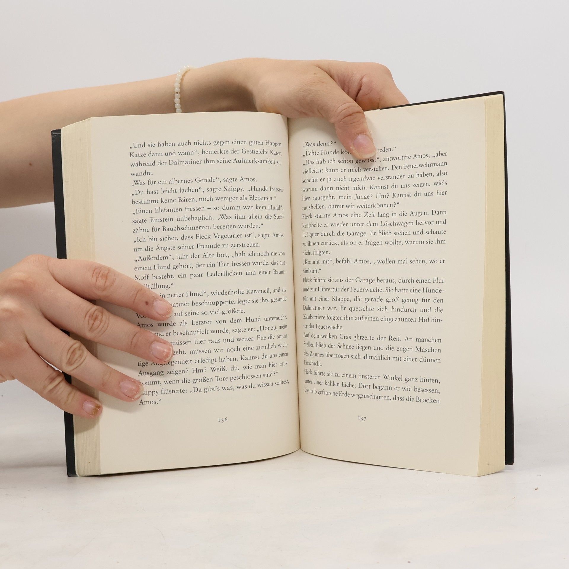 Dean Ray Koontz Nacht der Zaubertiere