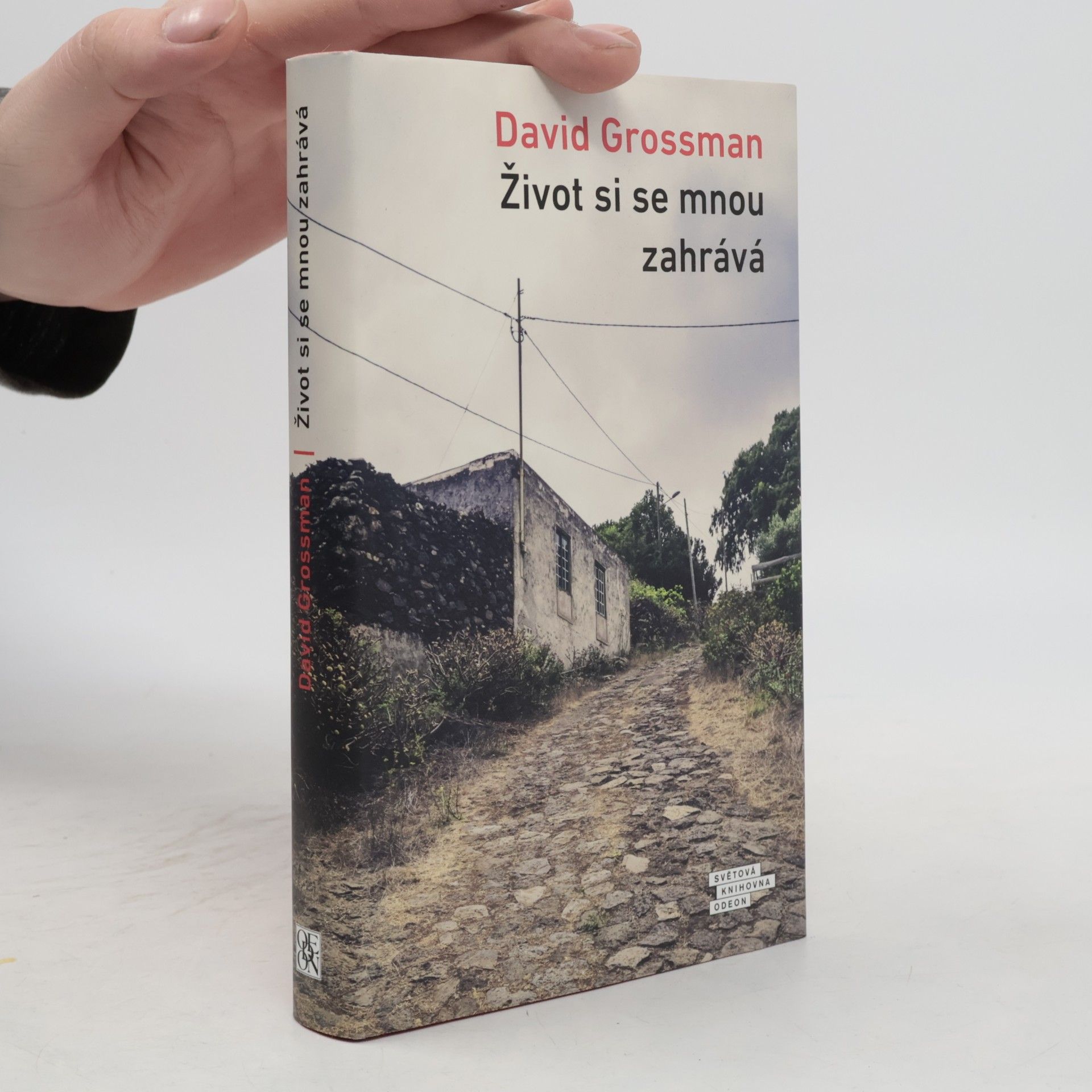 David Grossman Život si se mnou zahrává