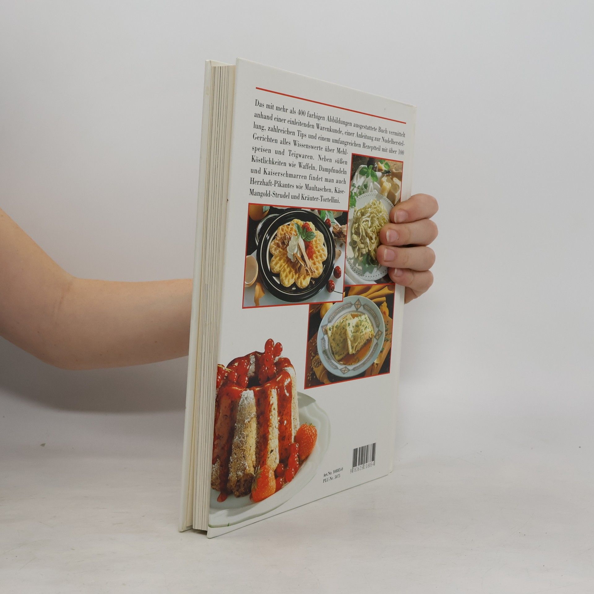 AA.VV. Grosses Buch der Mehlspeisen und Teigwaren