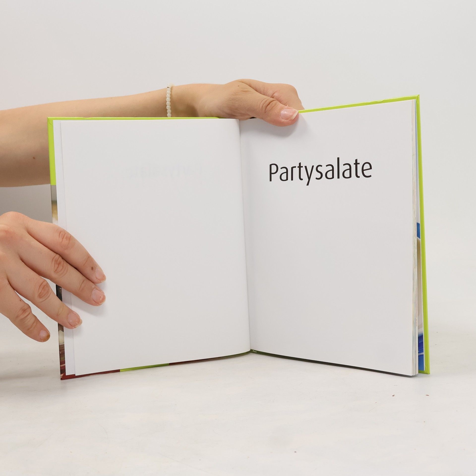 kolektiv Partysalate
