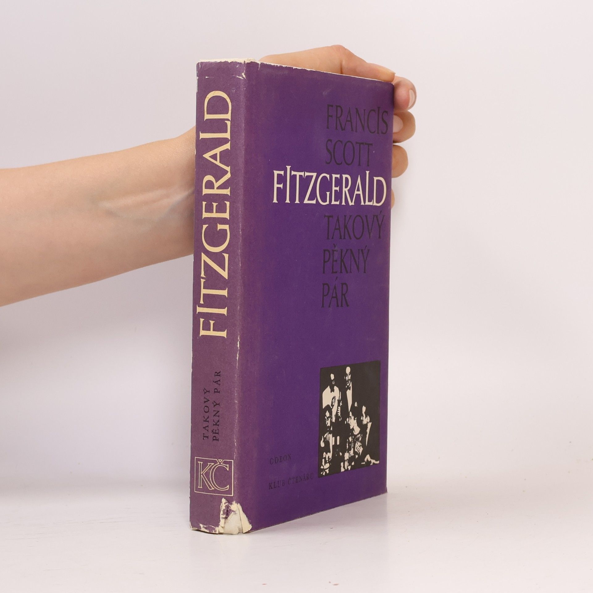 F. Scott Fitzgerald Takový pěkný pár a jiné povídky