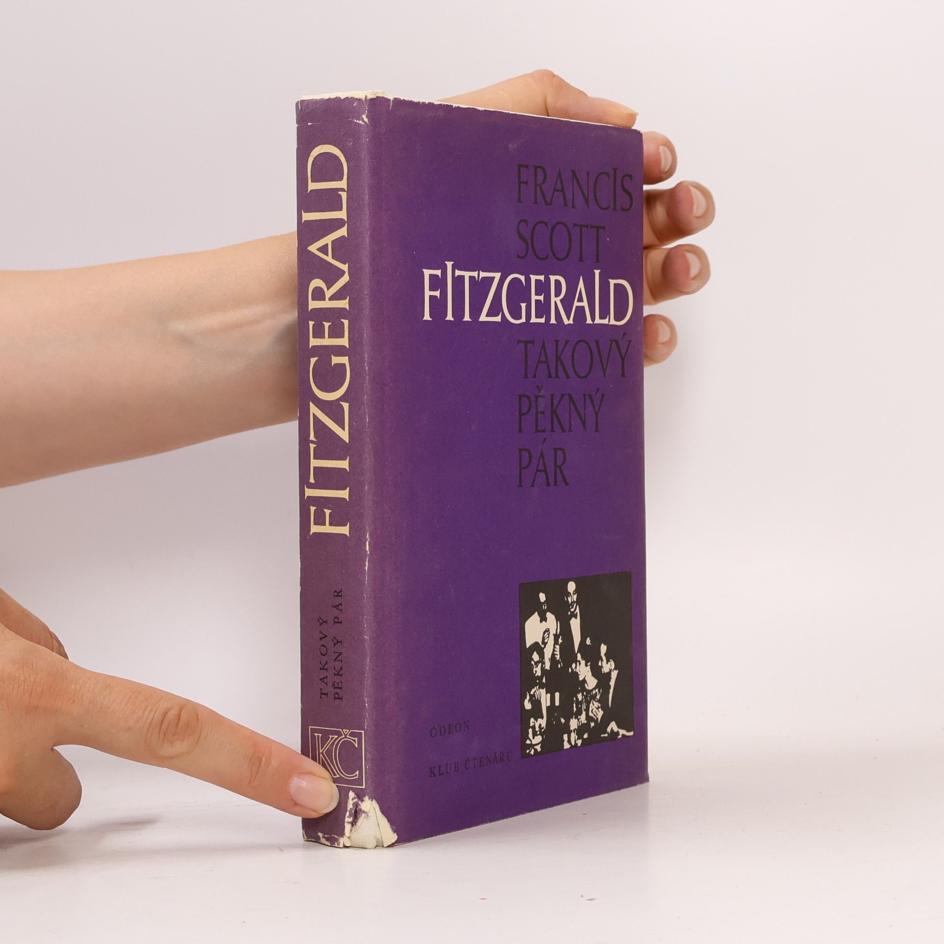 F. Scott Fitzgerald Takový pěkný pár a jiné povídky