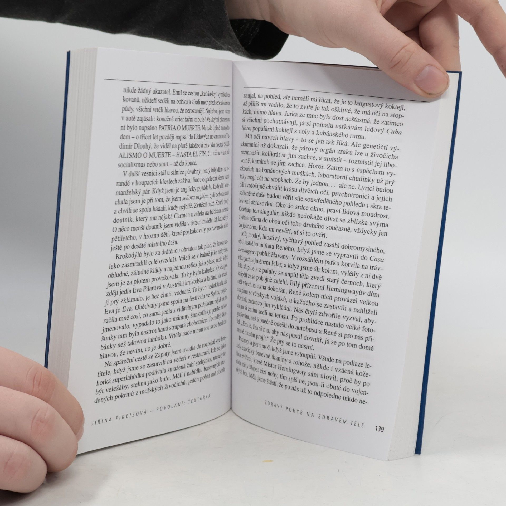 Jiřina Fikejzová Povolání textařka