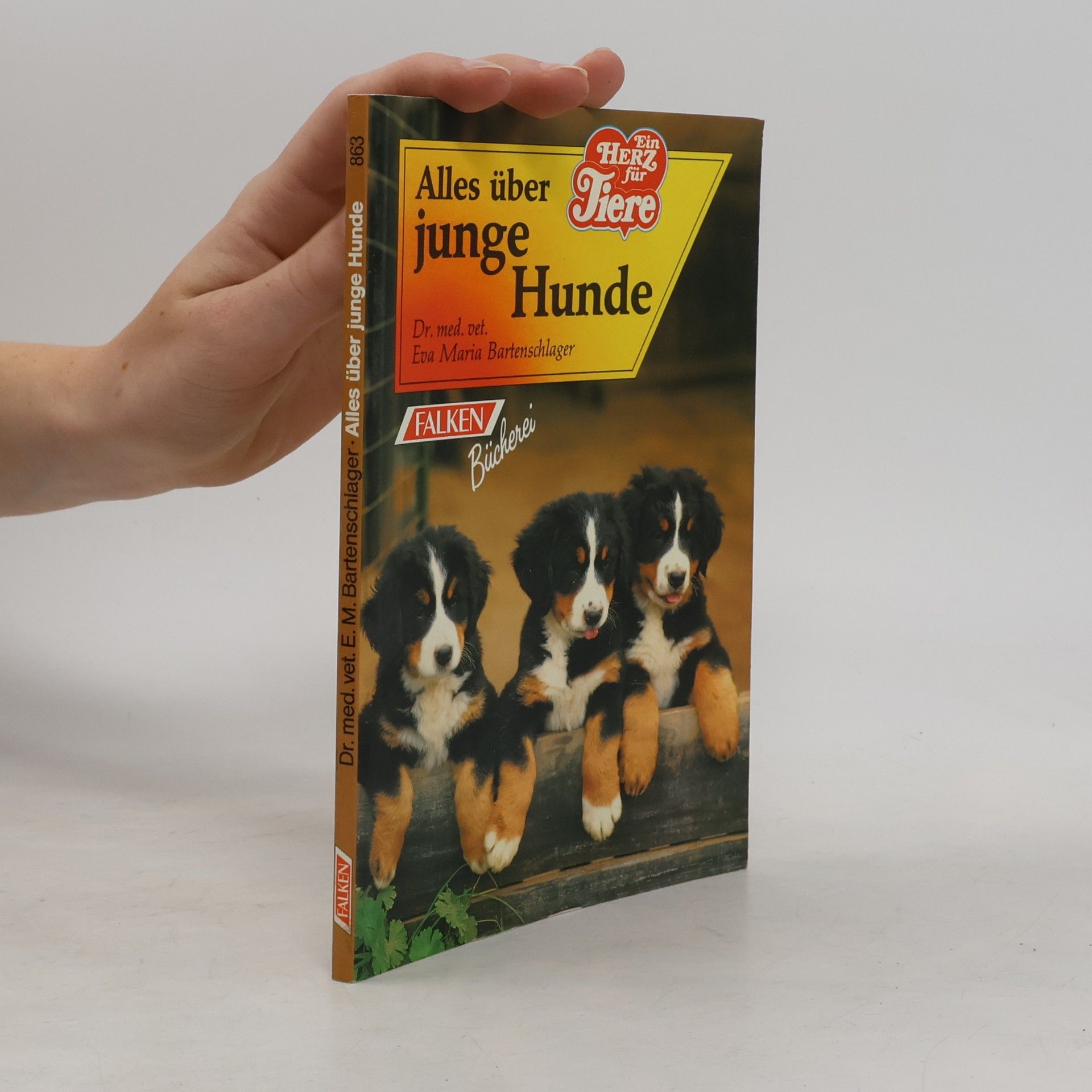Alles über junge Hunde