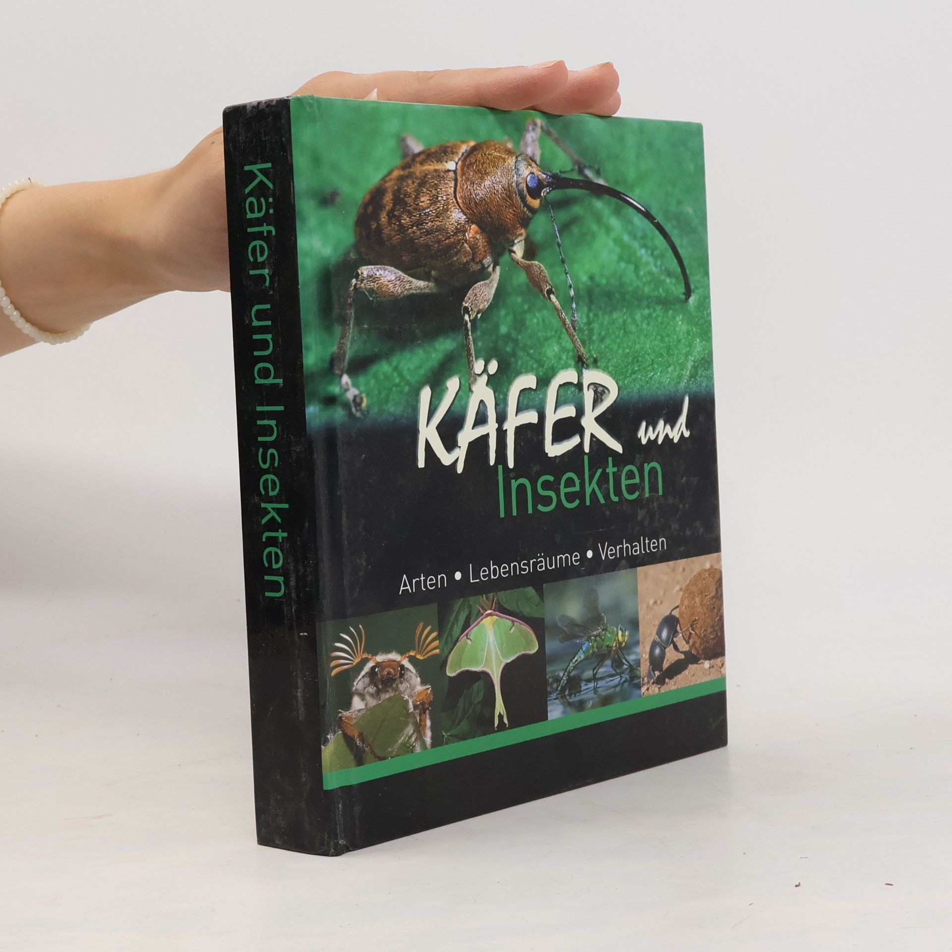 Autorenkollektiv Käfer und Insekten