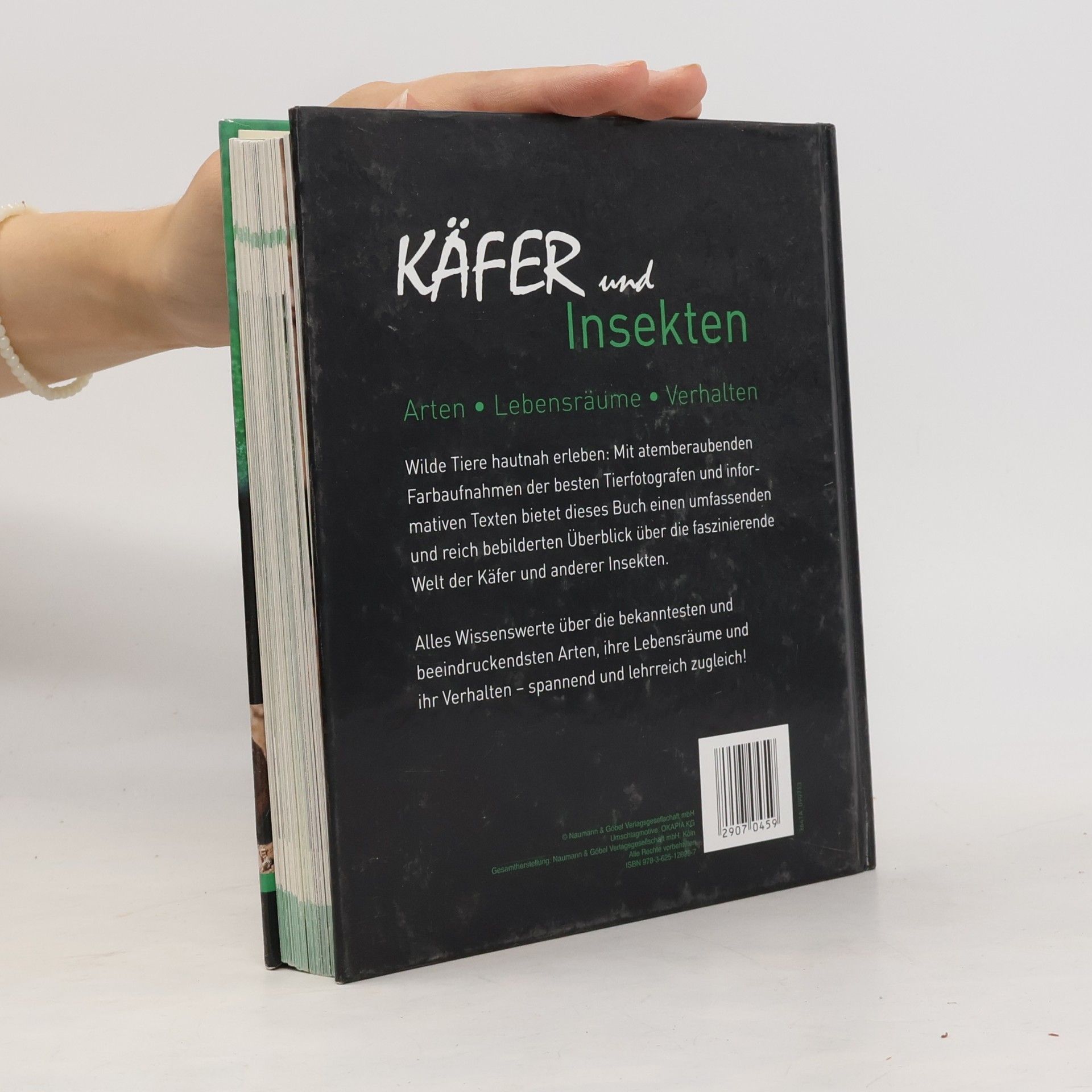 Kolektiv autorů Käfer und Insekten