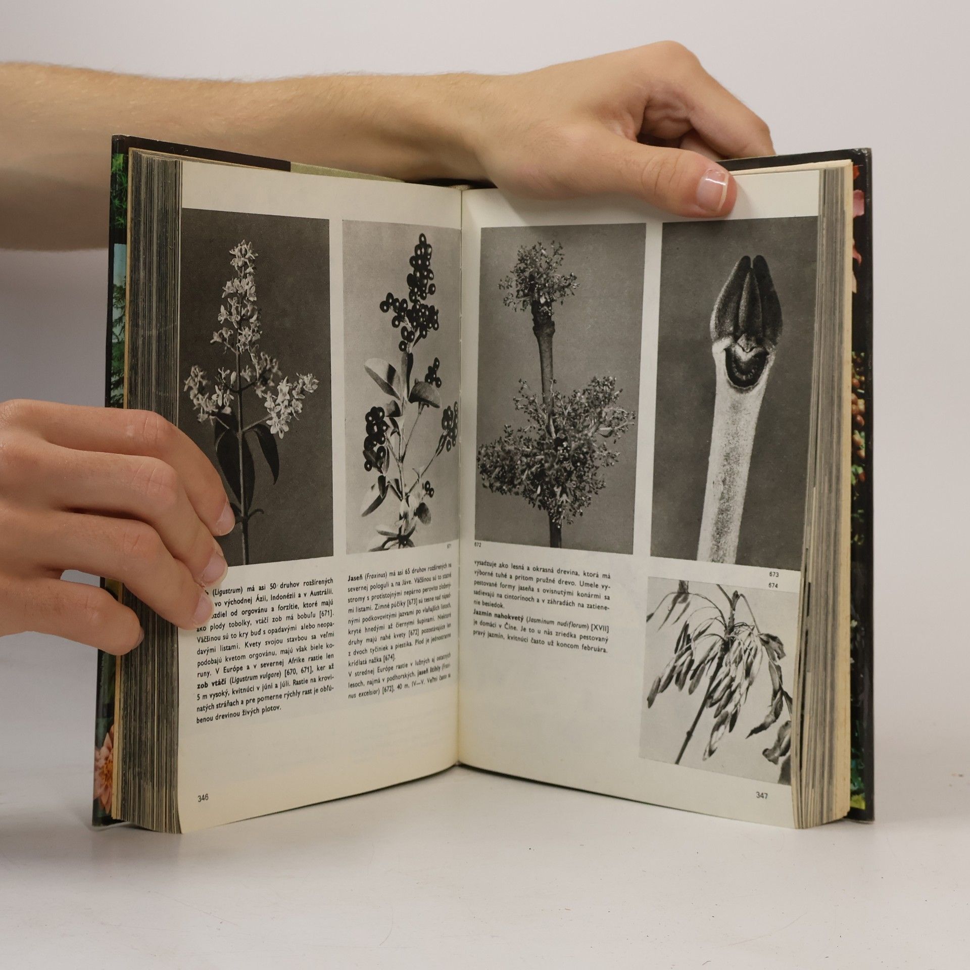 Novák F. A. Velký obrazový atlas rastlín