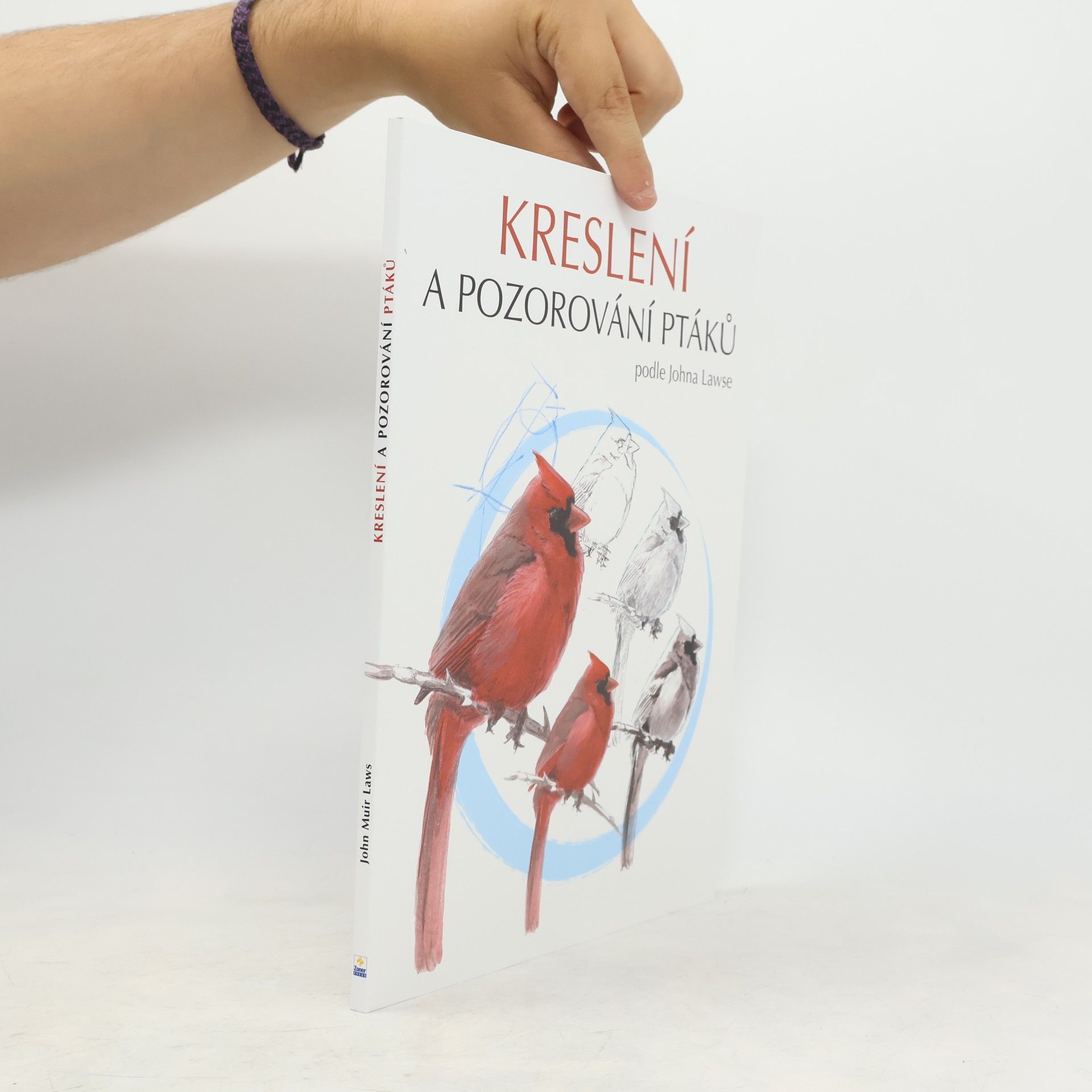 David Sibley Kreslení a pozorování ptáků