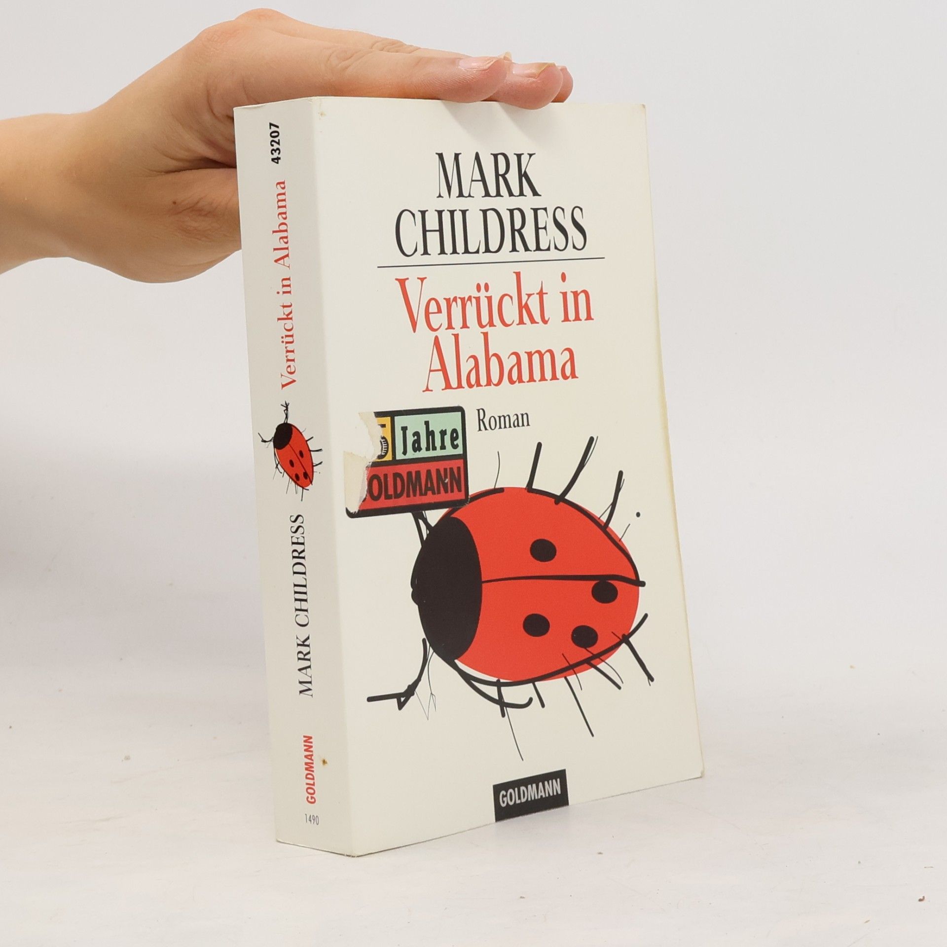Mark Childress Verrückt in Alabama