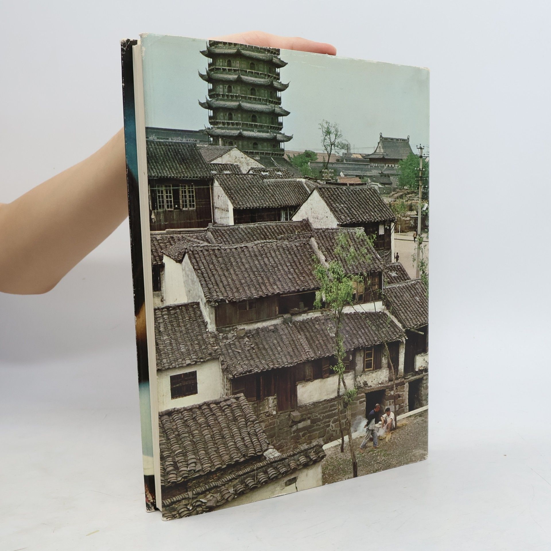 Harry Hamm China