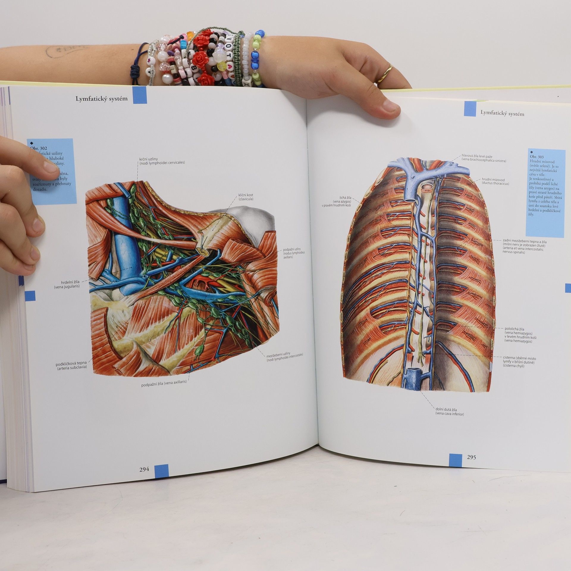 Autores varios Anatomický atlas