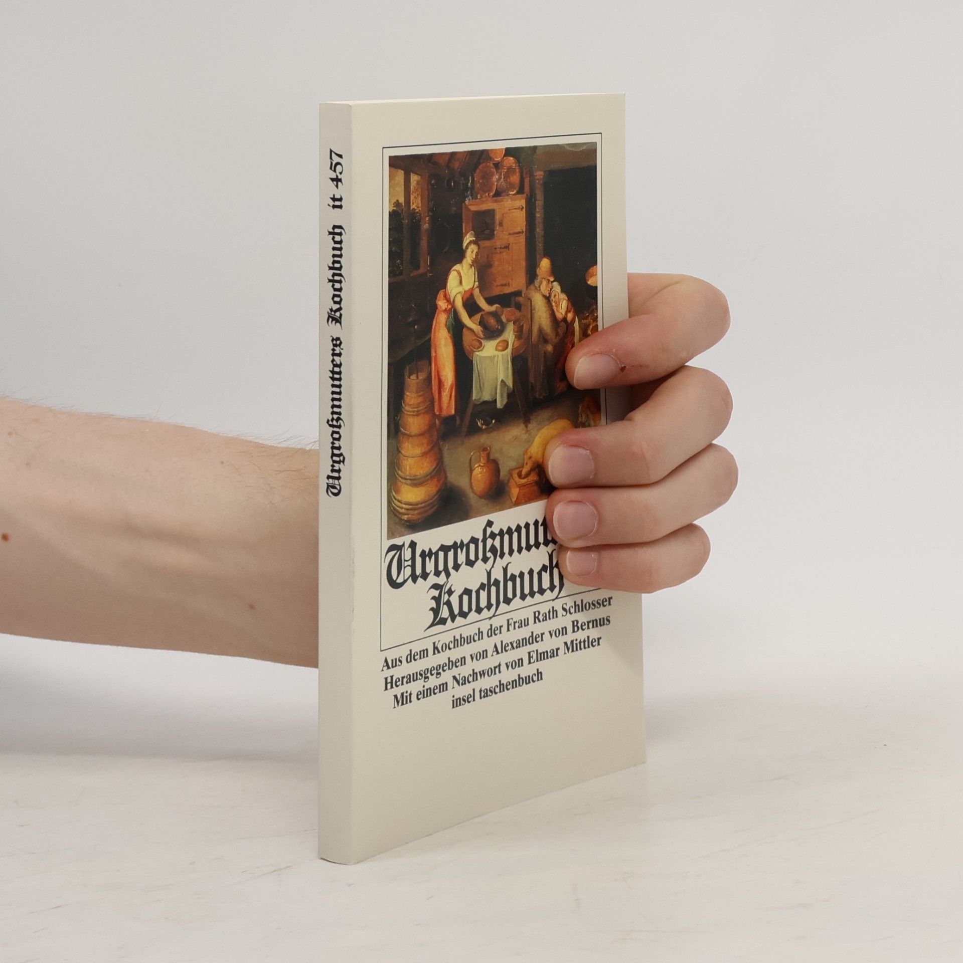 Sophie Schlösser Insel Taschenbuch - 457: Urgrossmutters Kochbuch