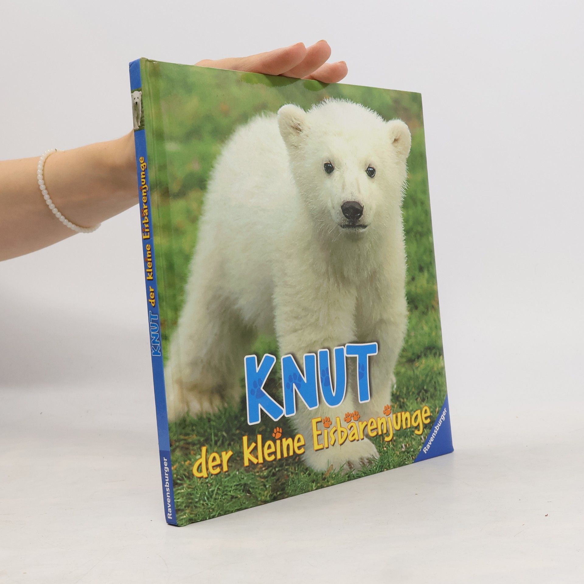 Gerald Uhlich Knut: der kleine Eisbärenjunge