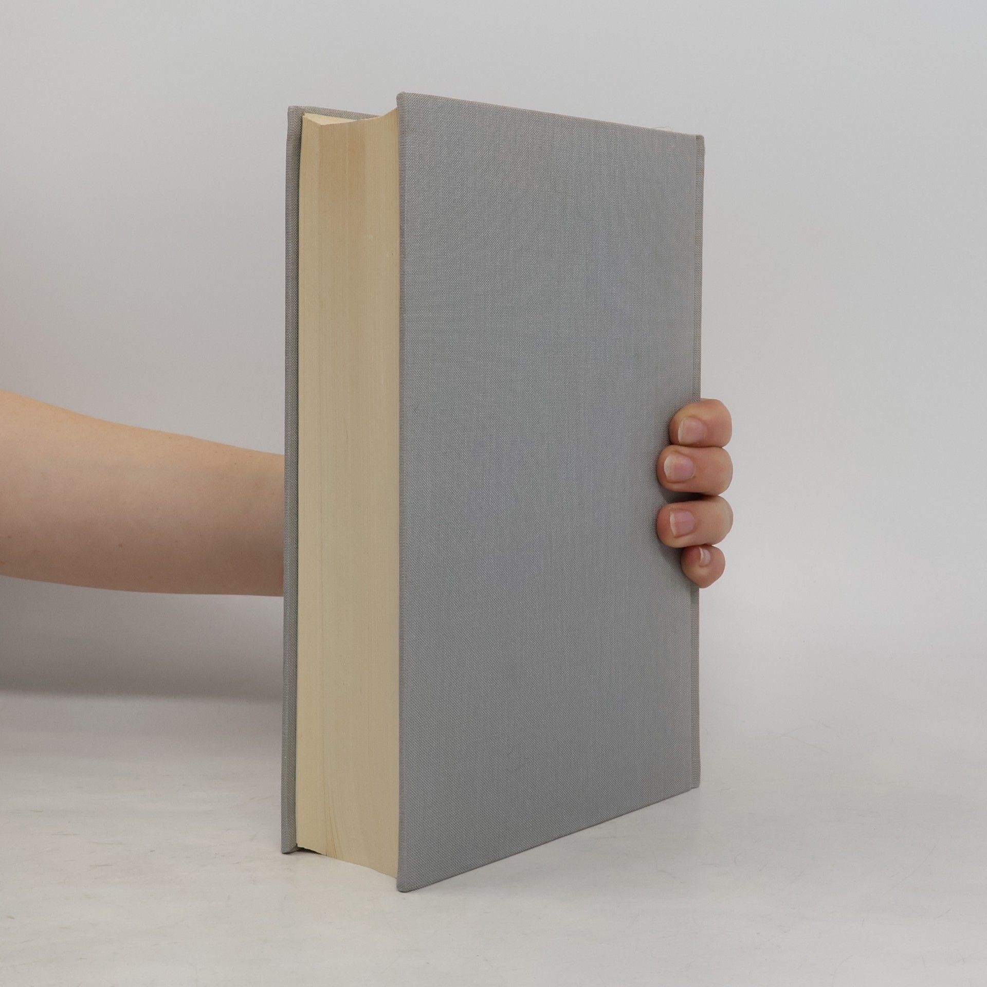 Jan Bialostocki Propyläen Kunstgeschichte 7. Spätmittelalter und beginnende Neuzeit