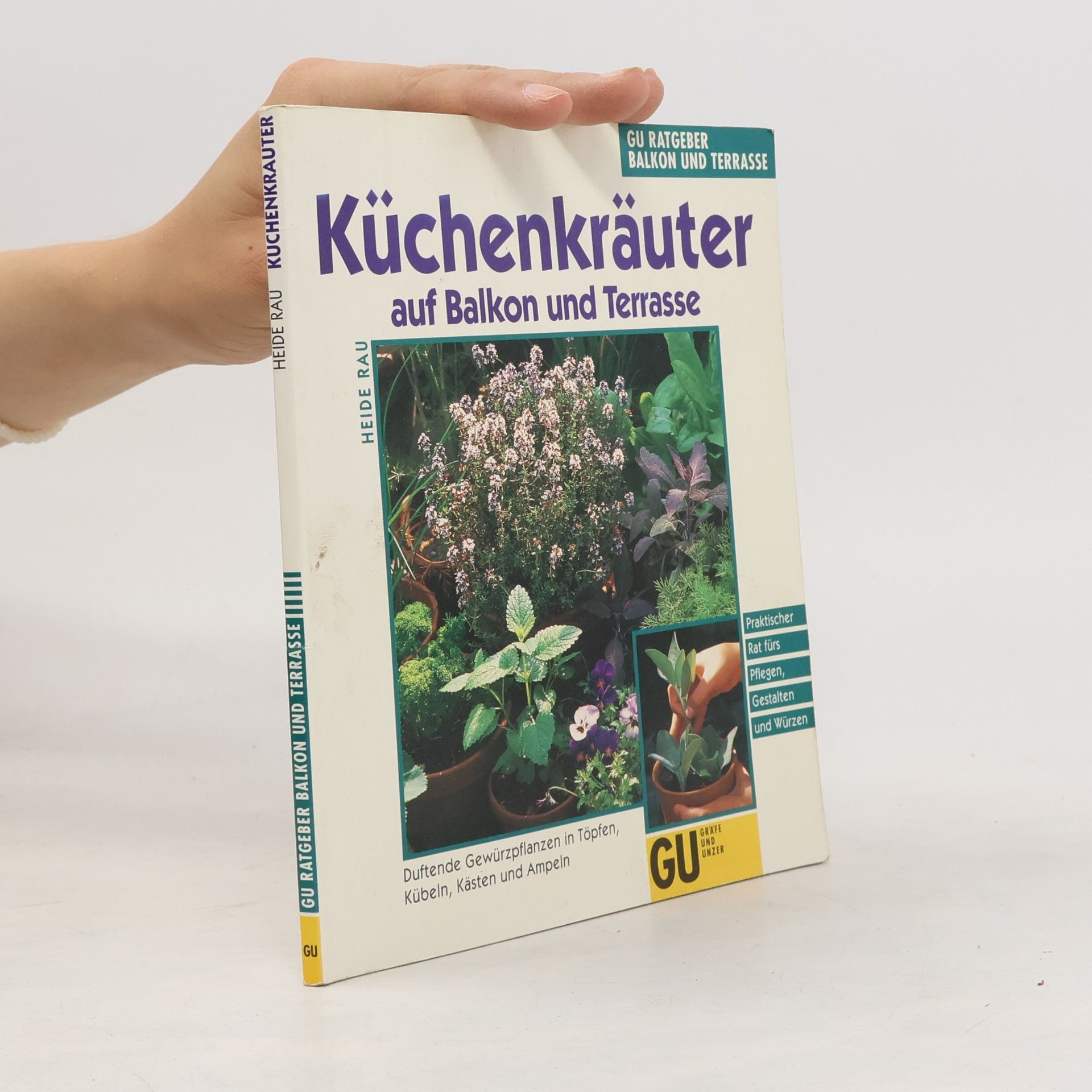 Küchenkräuter in Töpfen, Kübeln und Kästen
