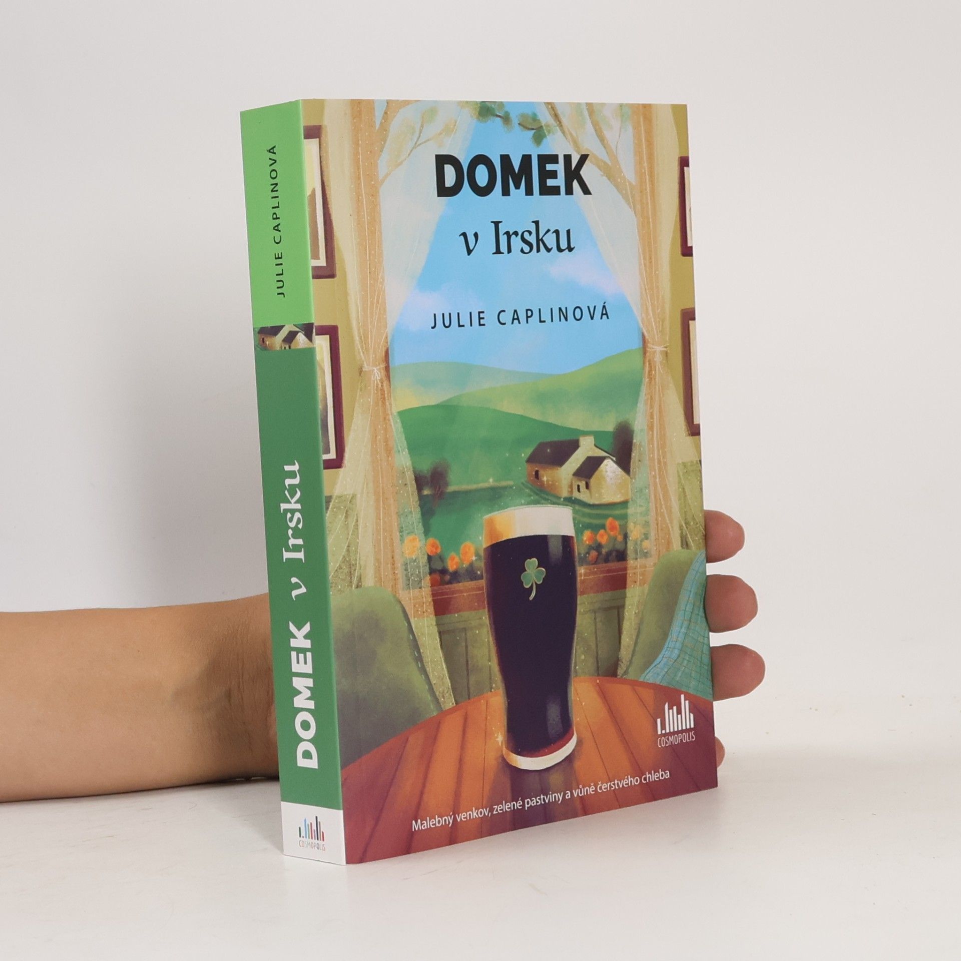 Julie Caplin Domek v Irsku