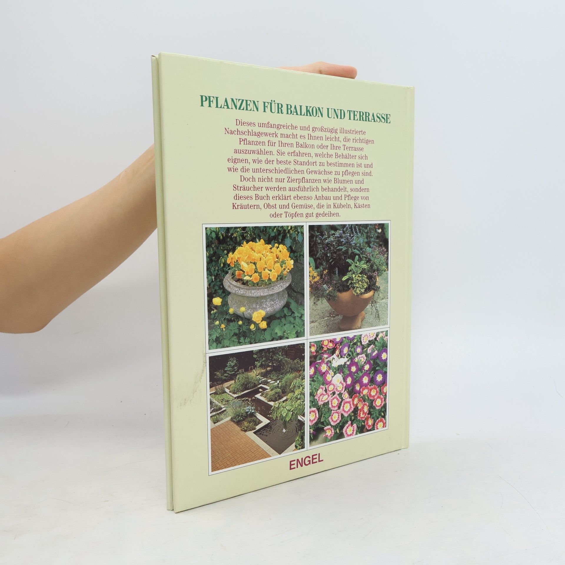 Autores varios Pflanzen für Balkon und Terrasse