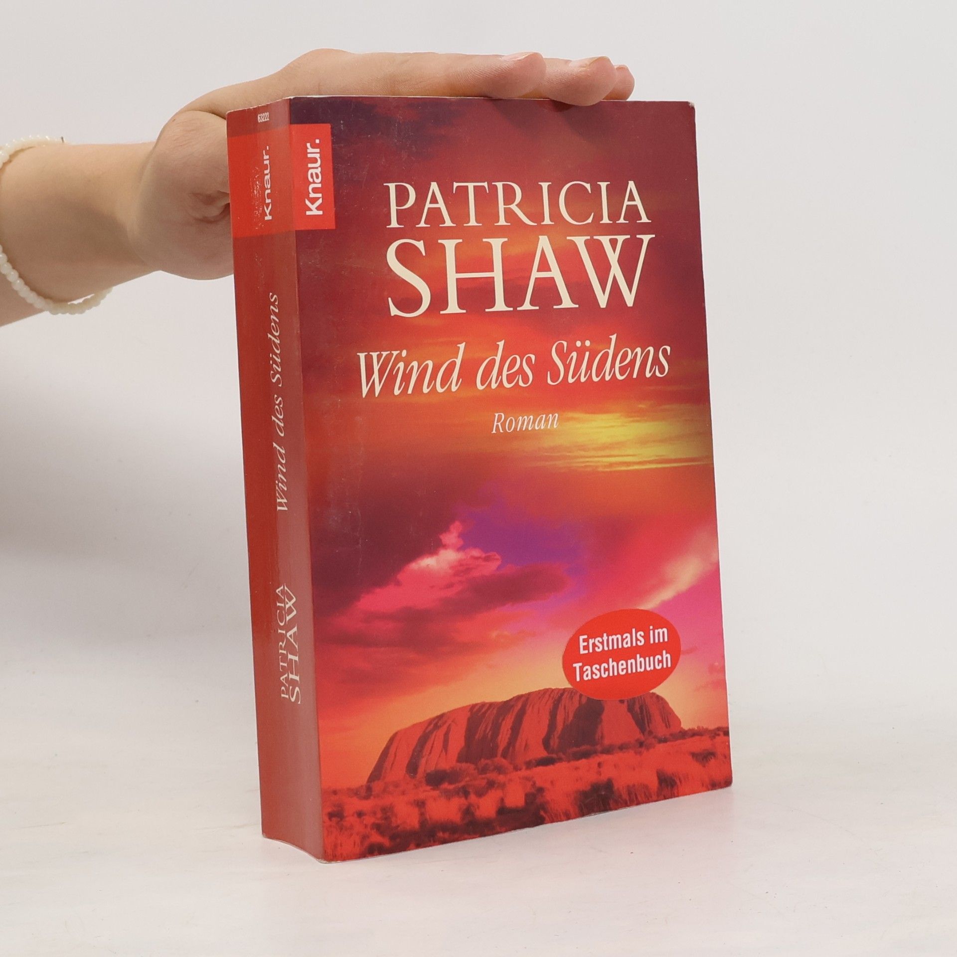 Patricia Shaw Wind des Südens