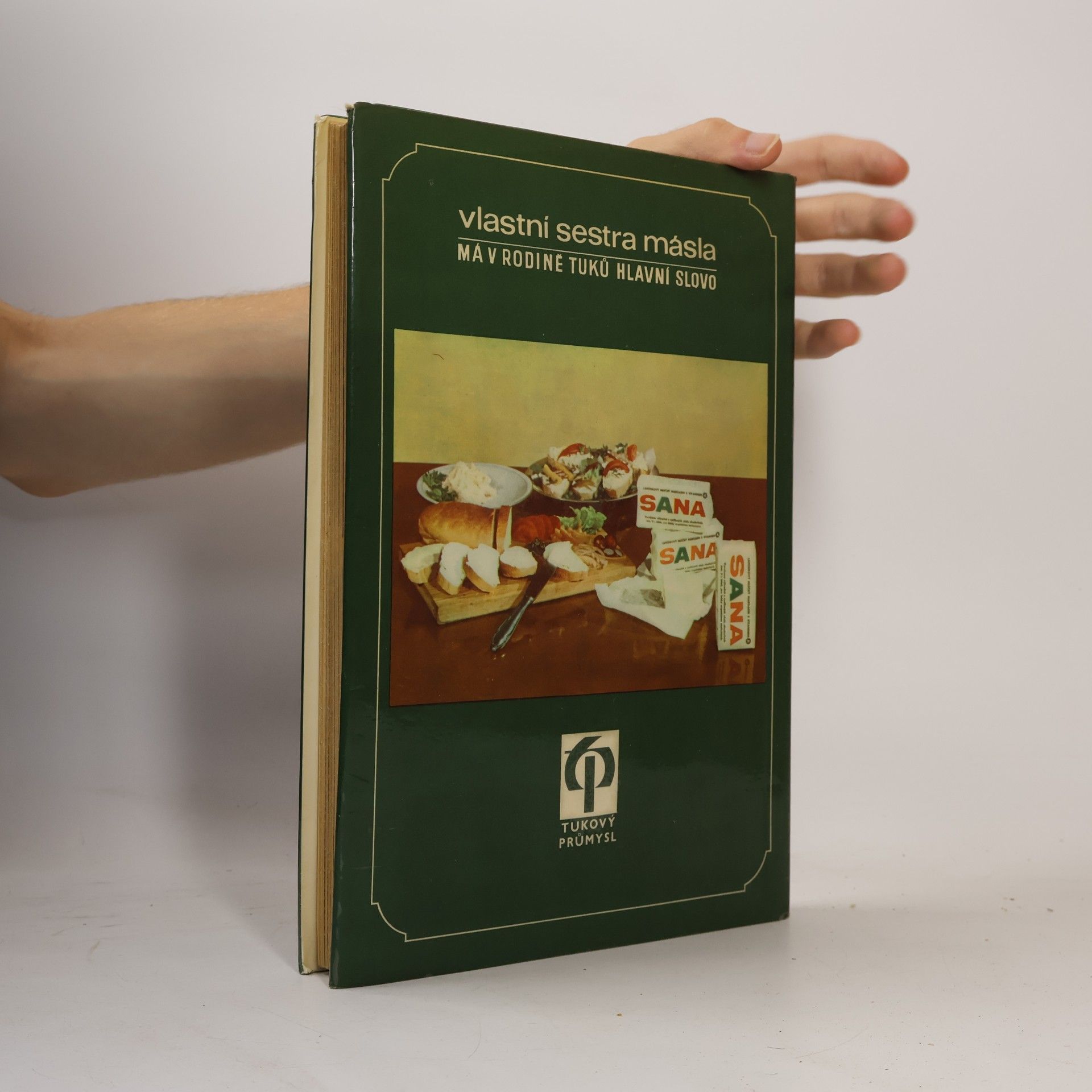 Vilém Vrabec Moderní studená kuchyně