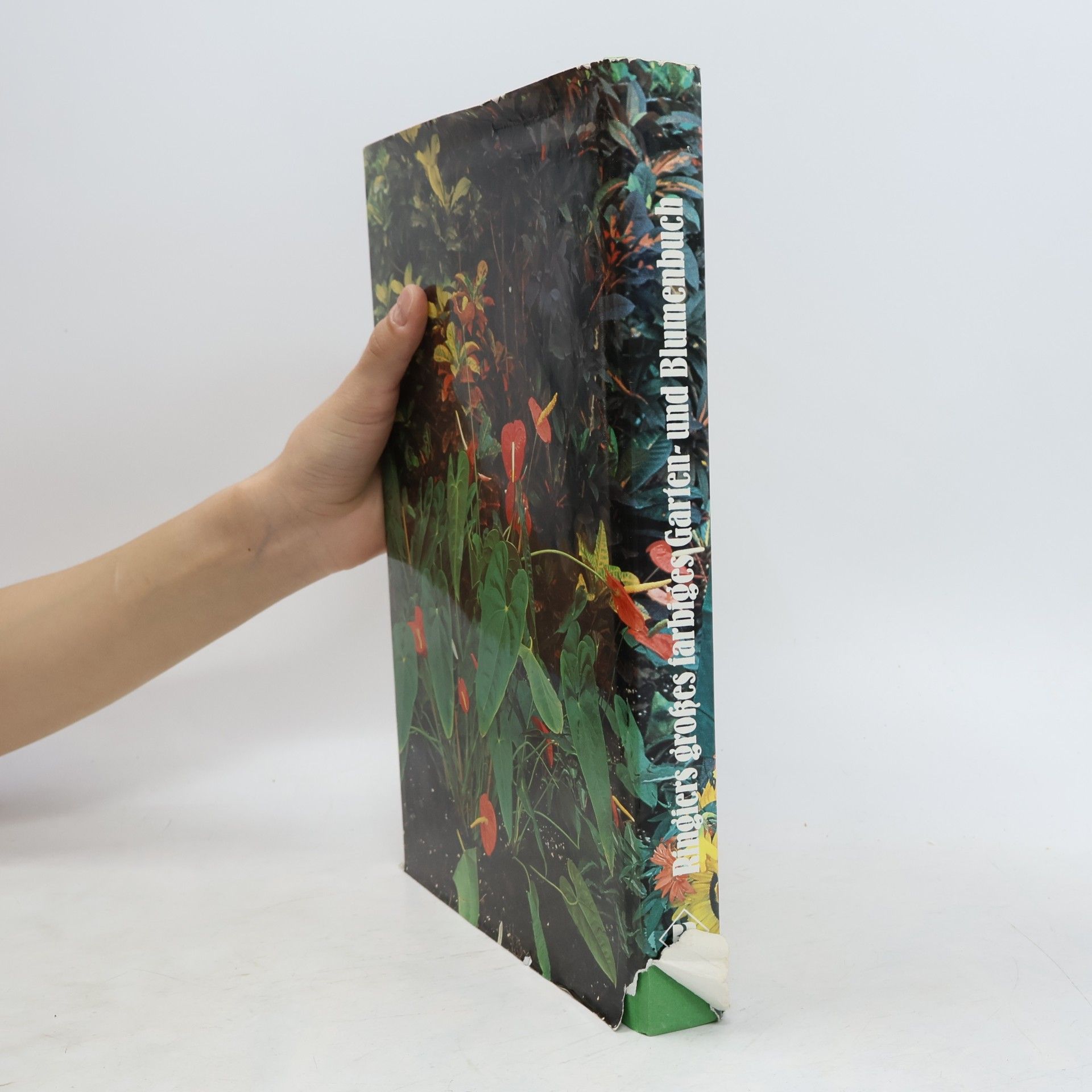 Autorenkollektiv Ringiers großes farbiges Garten- und Blumen Buch