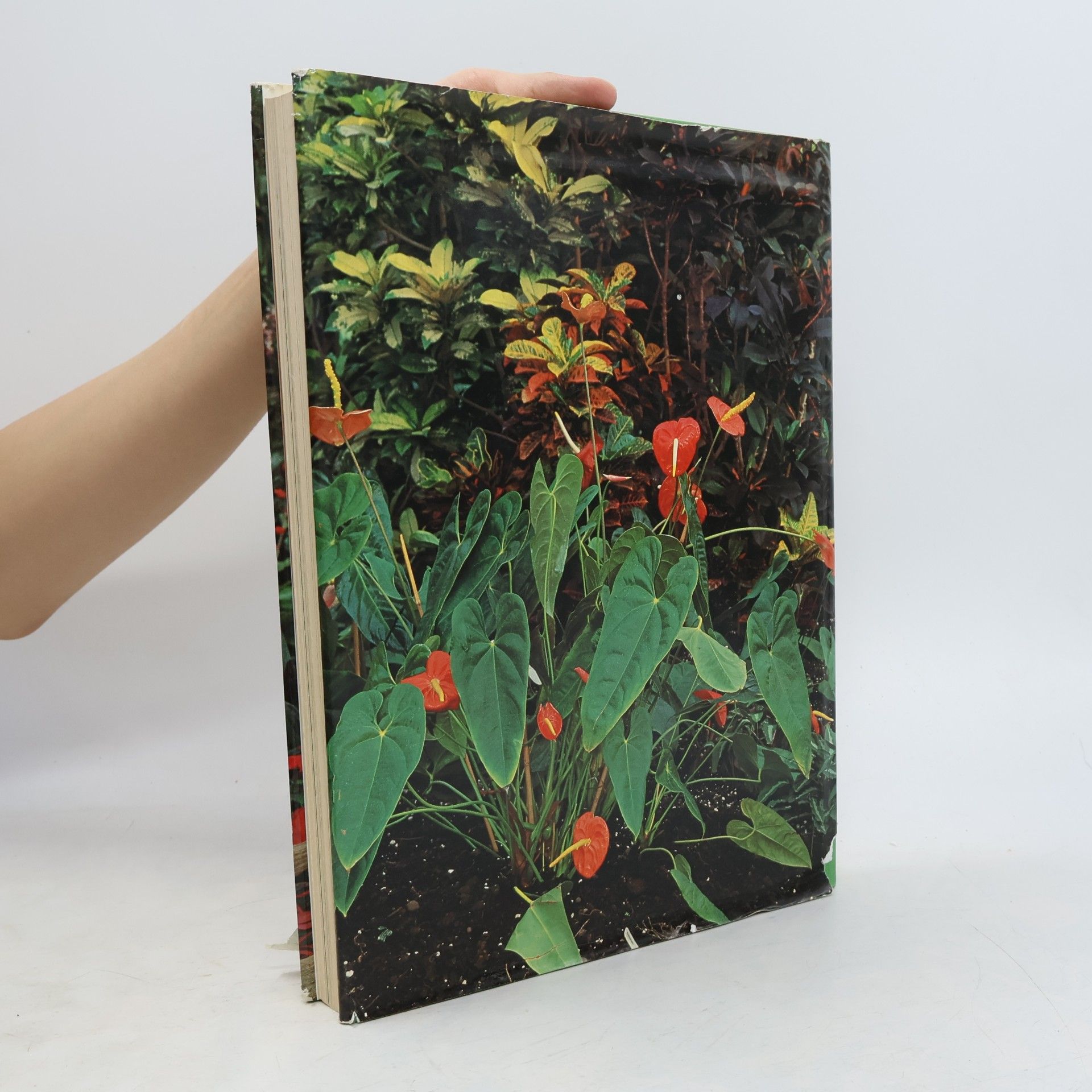 Autorenkollektiv Ringiers großes farbiges Garten- und Blumen Buch