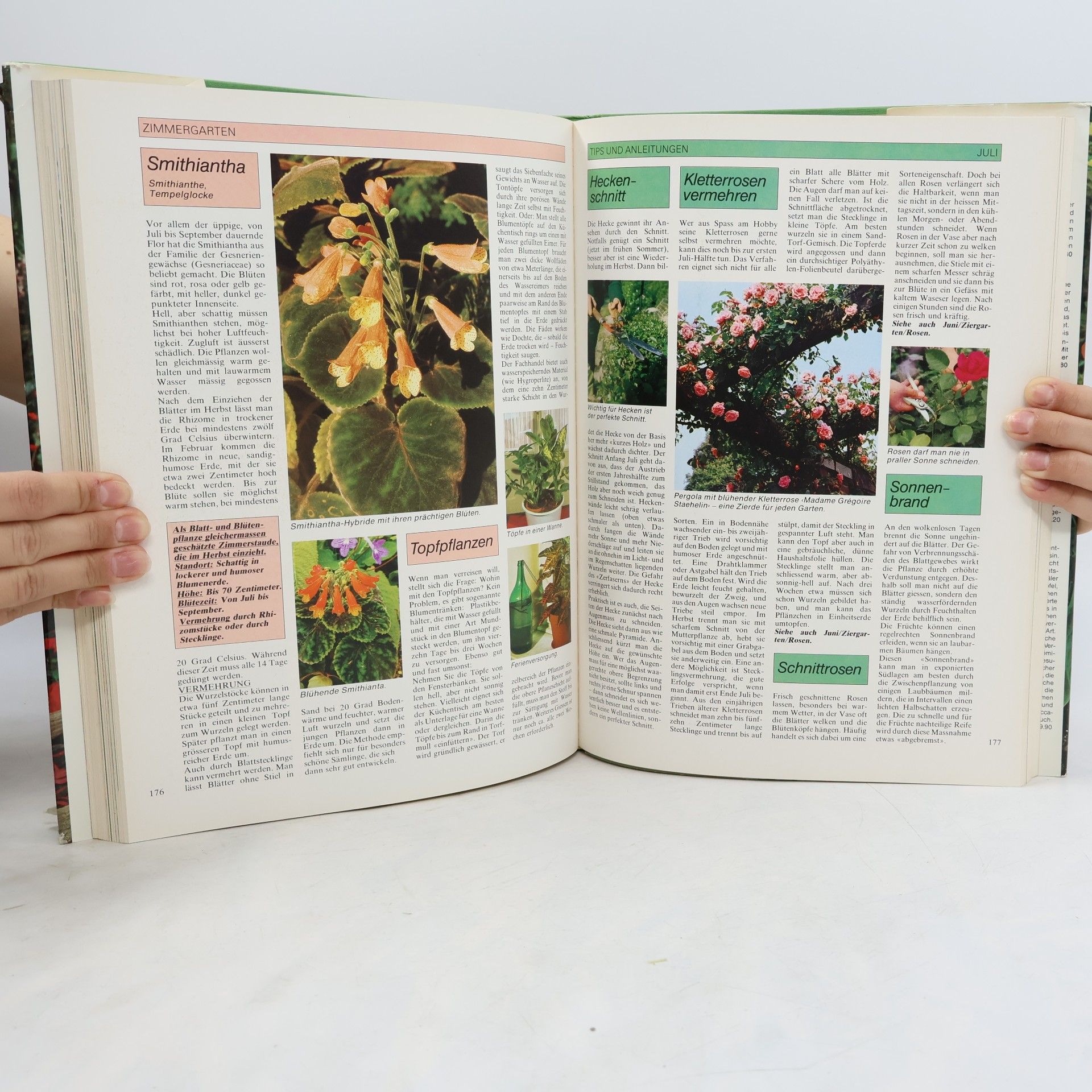 Autorenkollektiv Ringiers großes farbiges Garten- und Blumen Buch