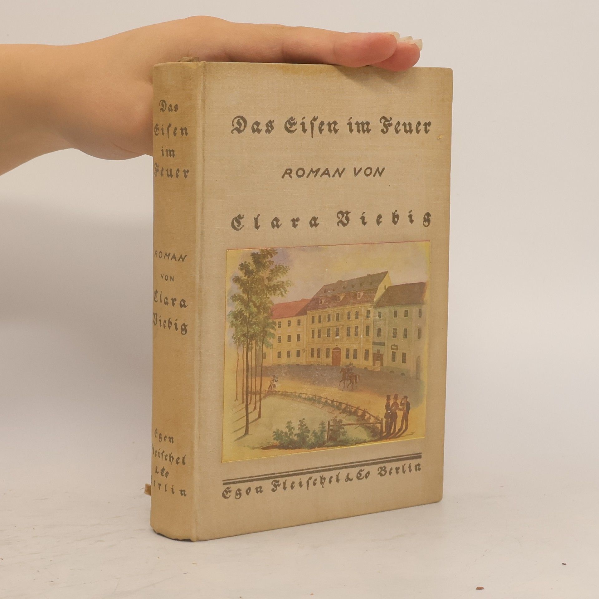 Clara Viebig Das Eisen im Feuer