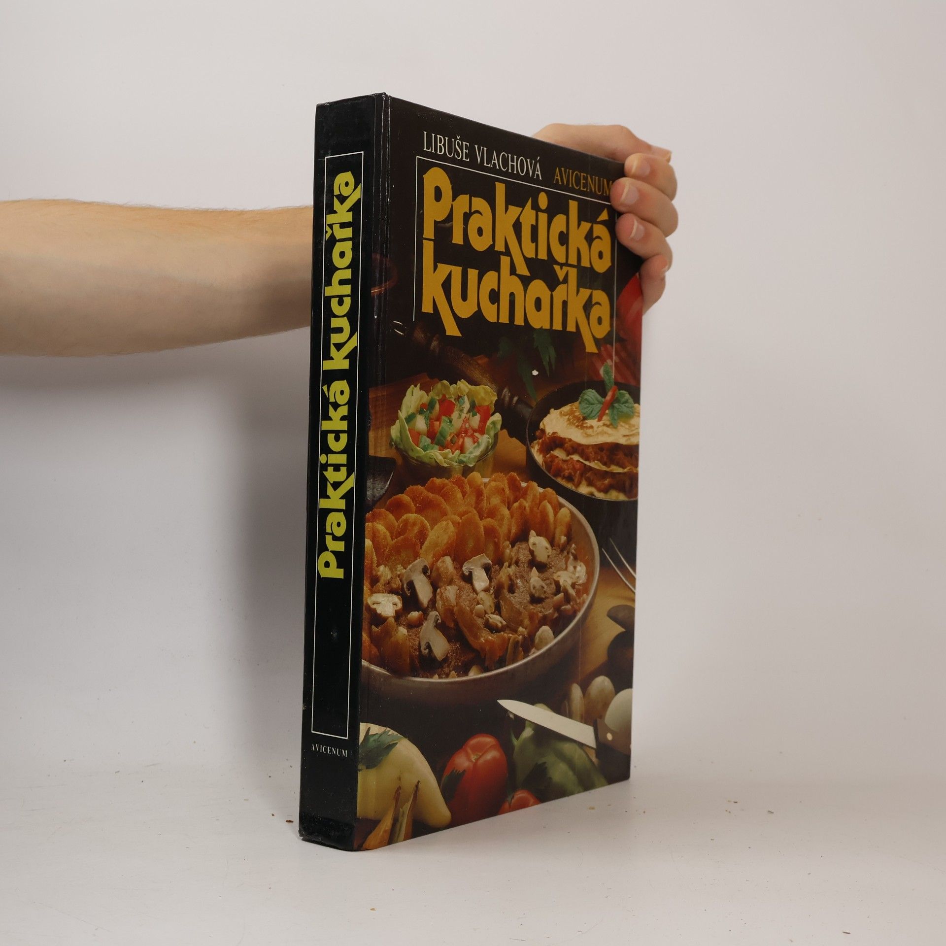 Libuše Vlachová Praktická kuchařka