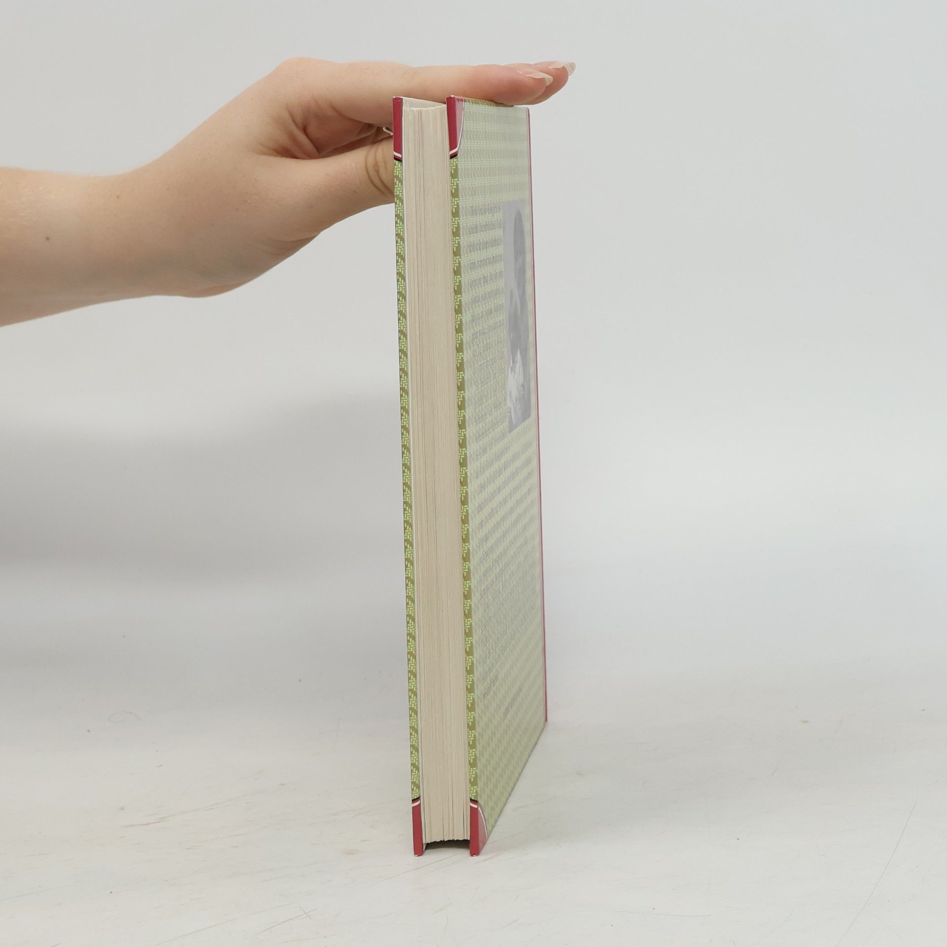 Divna Omaljev-Bongartz Tagebuch einer Schwangerschaft mit Sonnen Kost