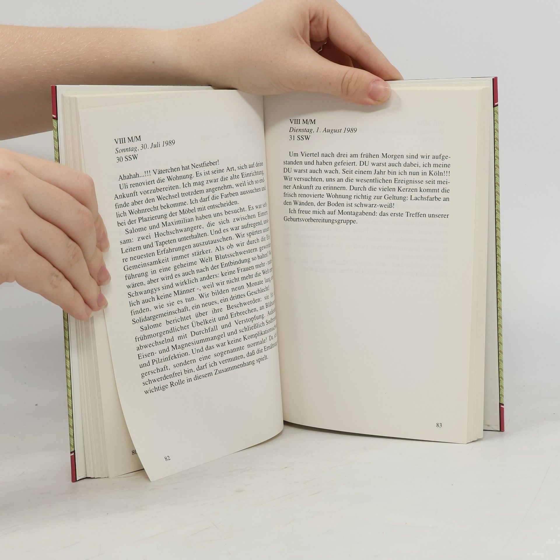 Divna Omaljev-Bongartz Tagebuch einer Schwangerschaft mit Sonnen Kost