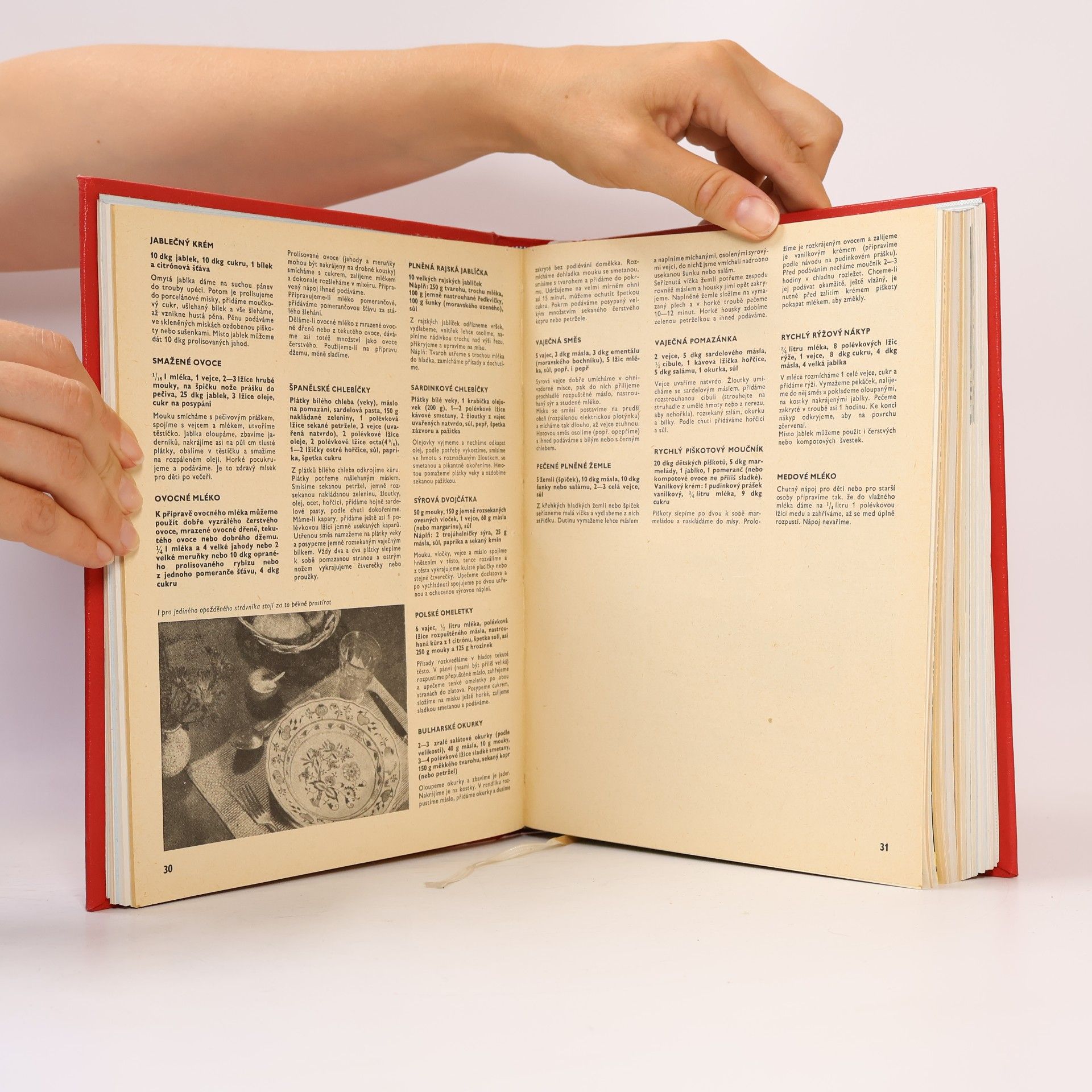 Lea Filipová Sešity domácího hospodaření 1985